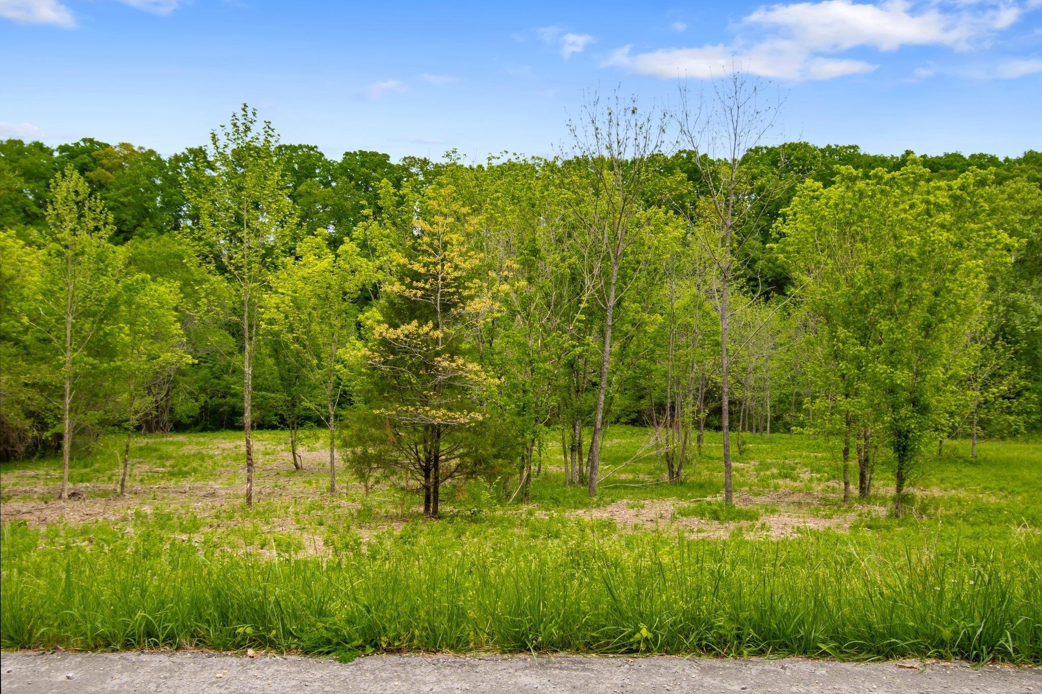 0 Crow Cut Road Fairview TN 37062