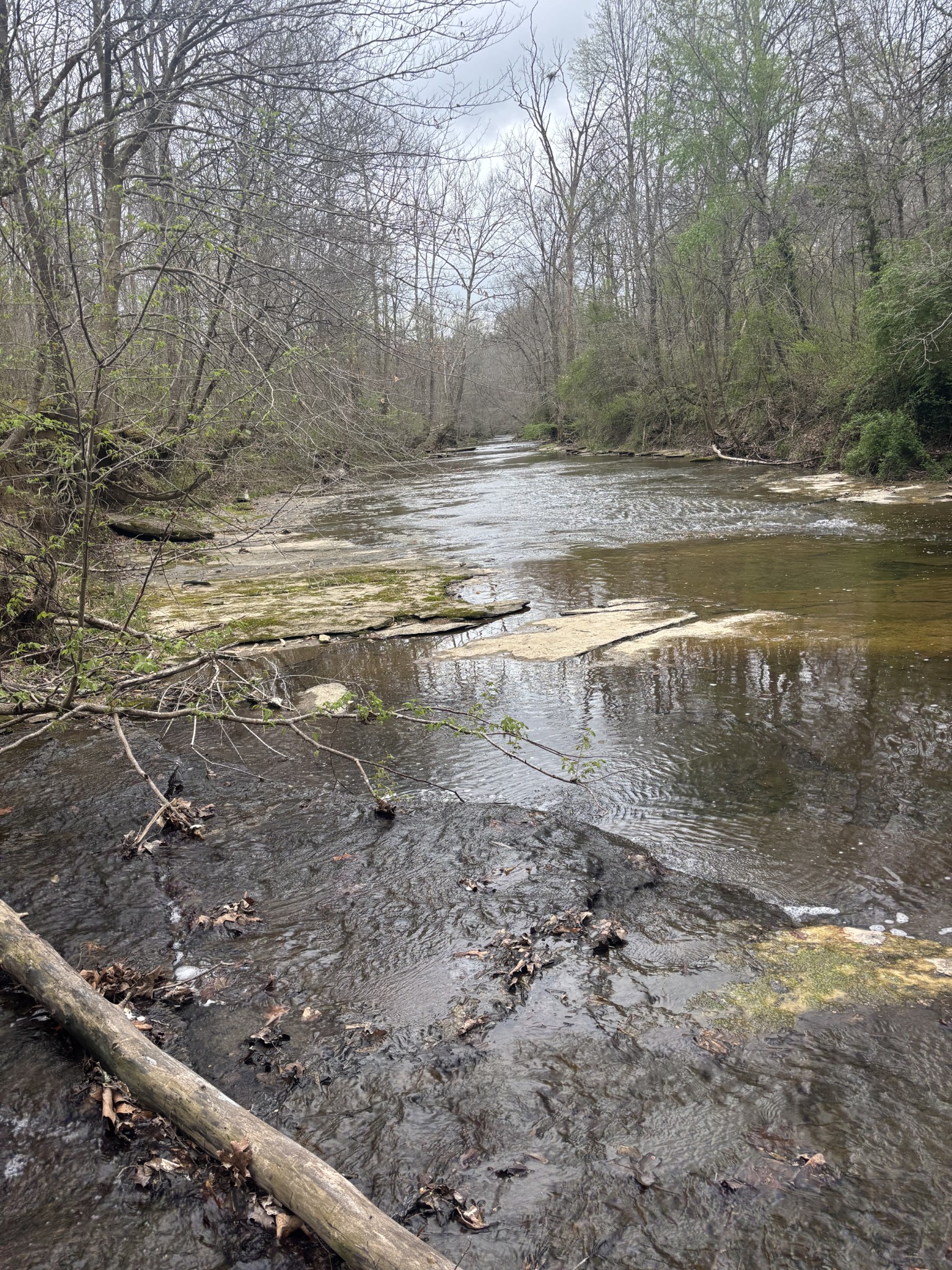 0 Crow Cut Road Fairview TN 37062