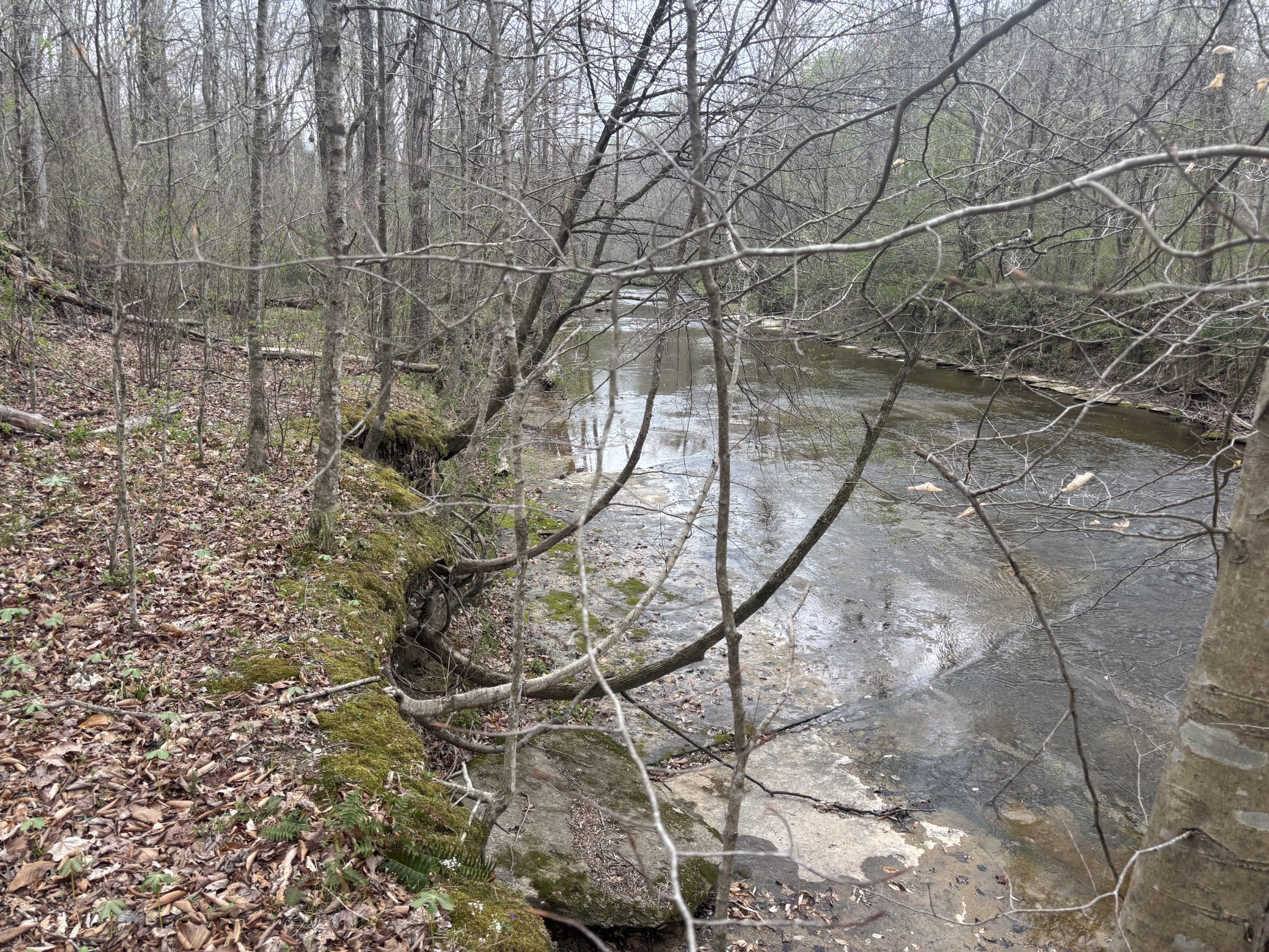 0 Crow Cut Road Fairview TN 37062