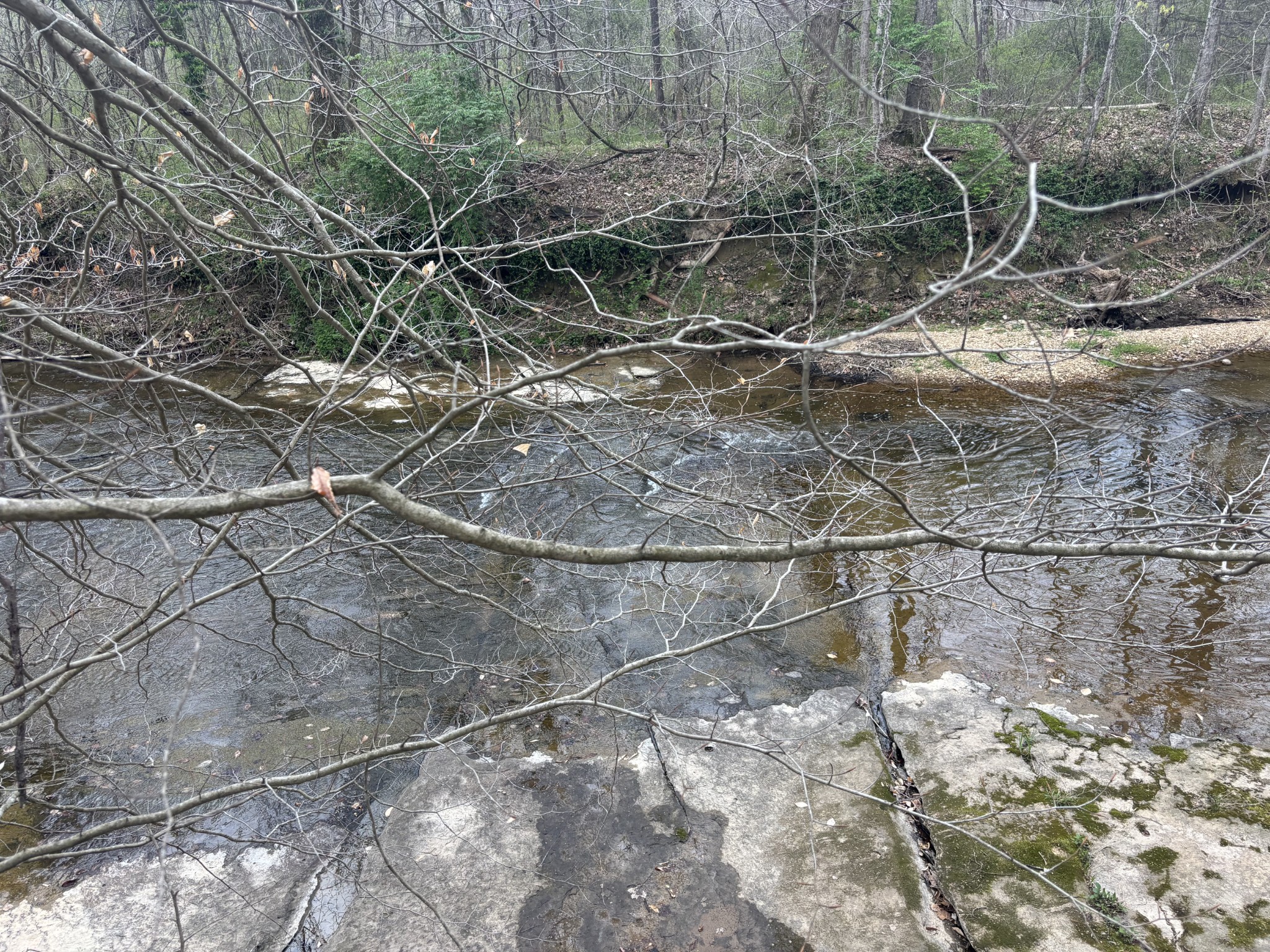 0 Crow Cut Road Fairview TN 37062