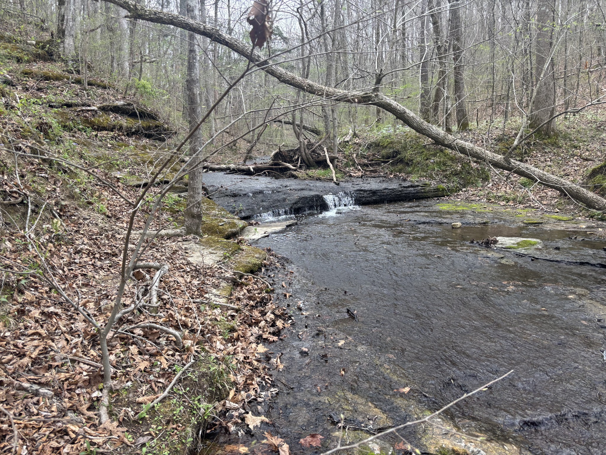 0 Crow Cut Road Fairview TN 37062