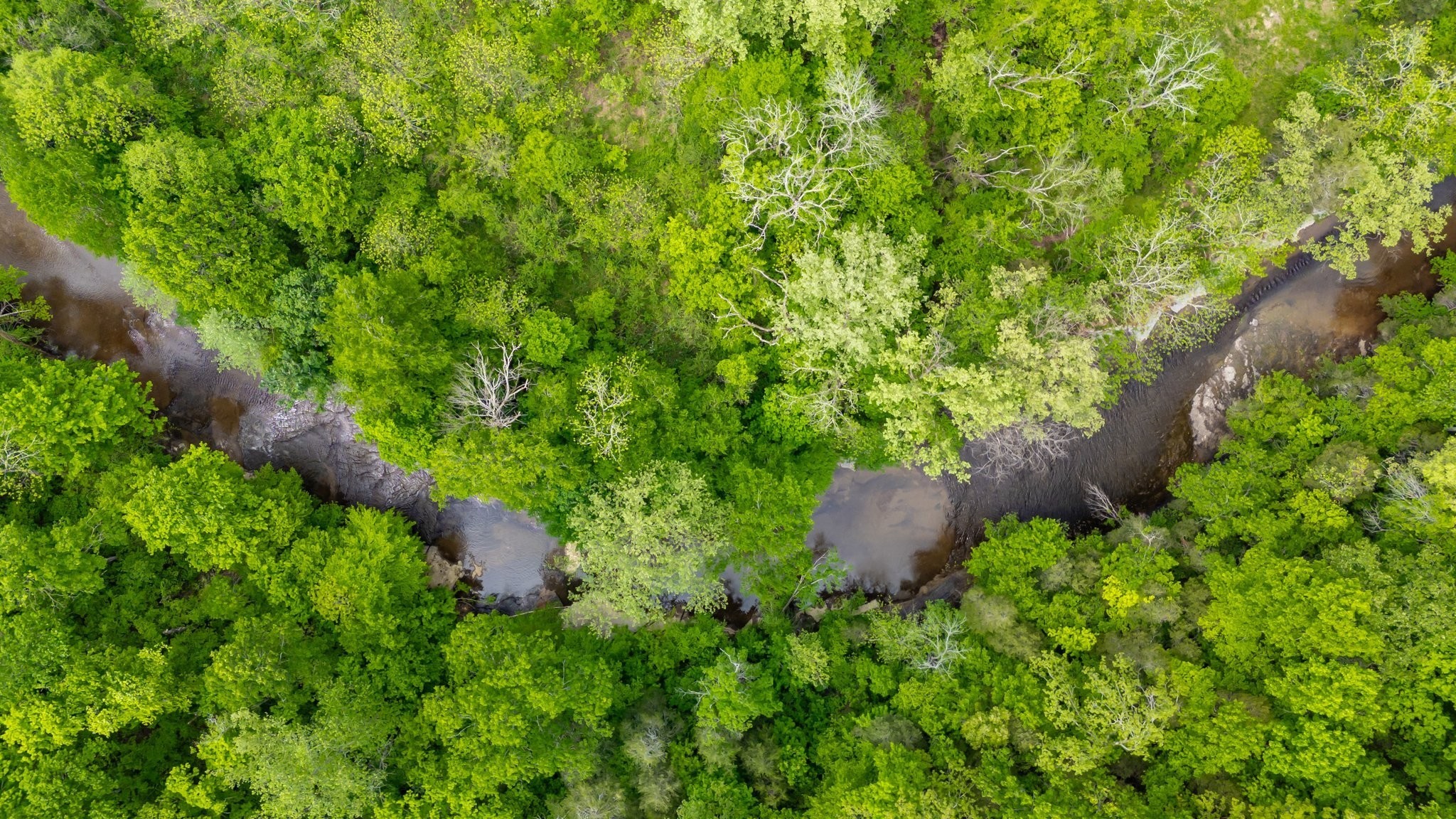 0 Crow Cut Road Fairview TN 37062
