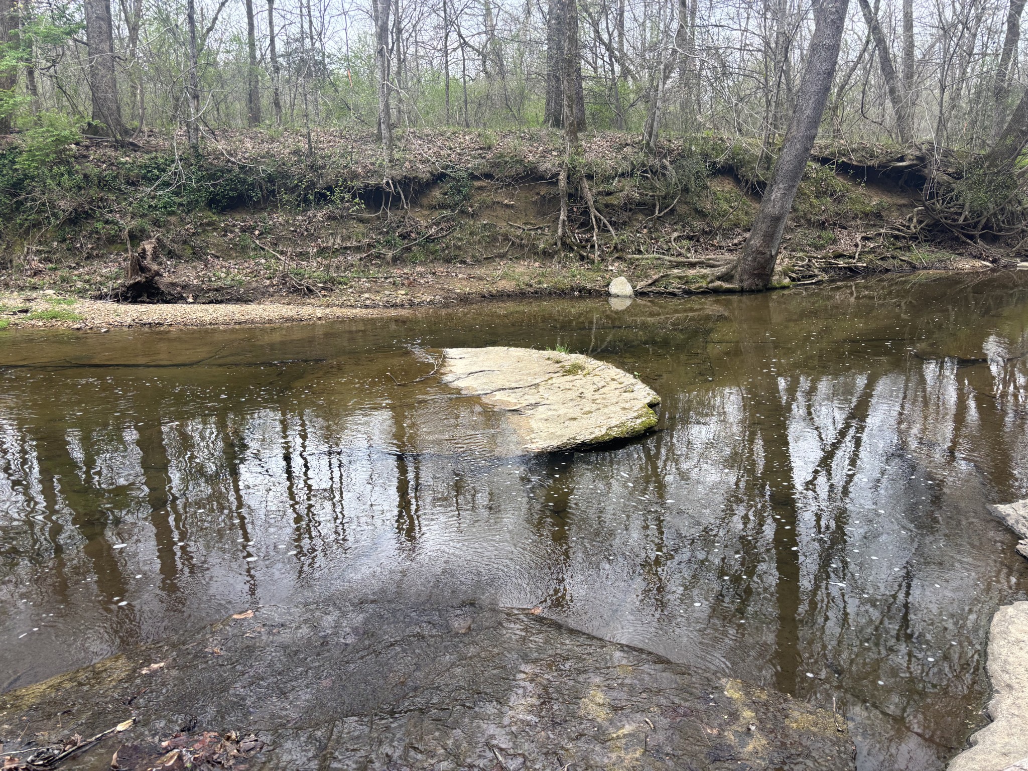0 Crow Cut Road Fairview TN 37062