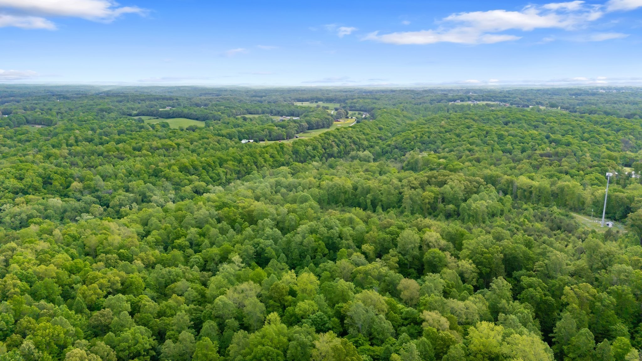 0 Crow Cut Road Fairview TN 37062