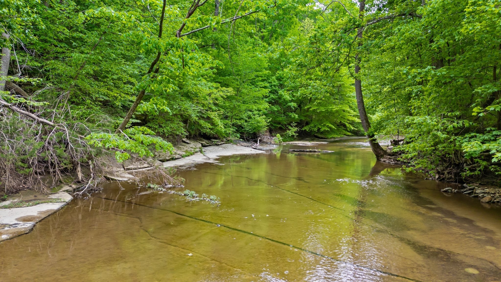 0 Crow Cut Road Fairview TN 37062
