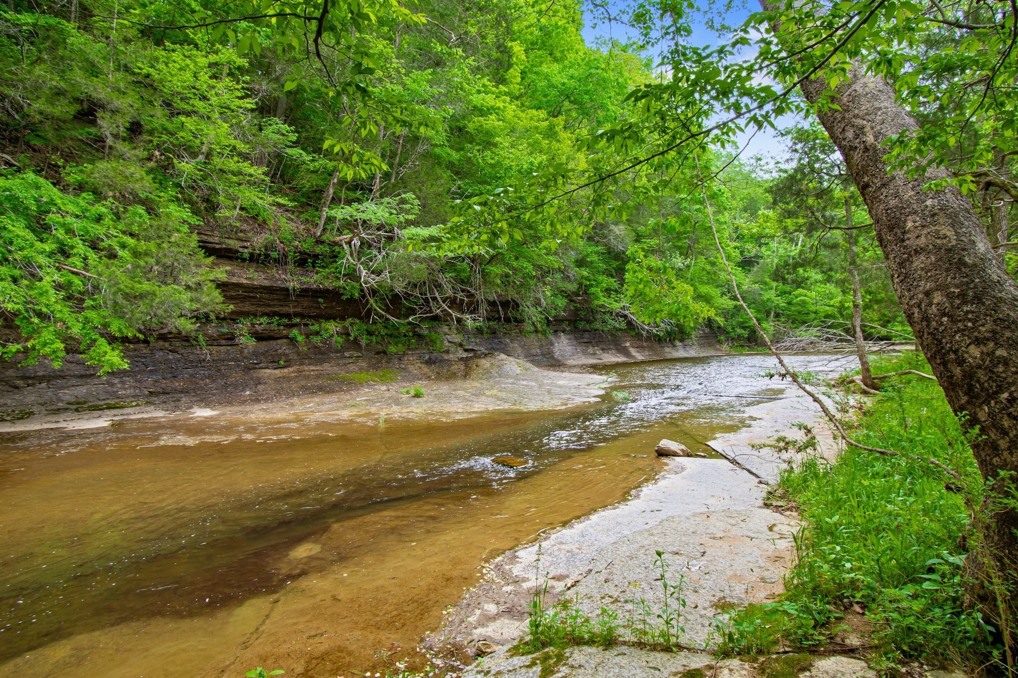 0 Crow Cut Road Fairview TN 37062