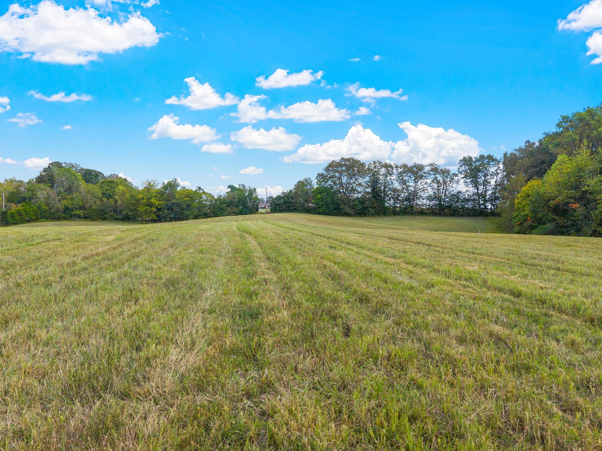 3 Pace Road Clarksville TN 37043