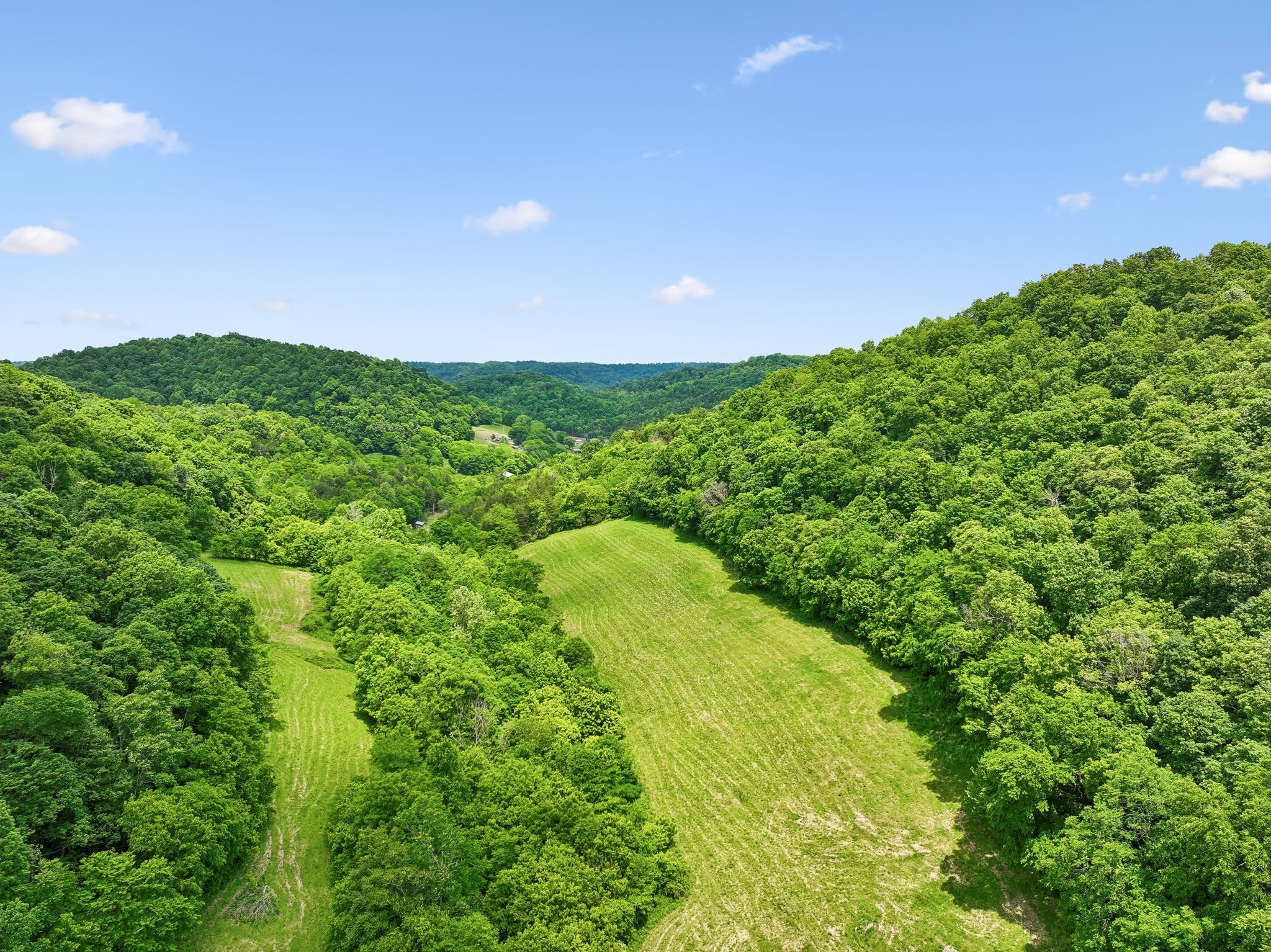 34 Friendship Hollow Road, N Pleasant Shade TN 37145