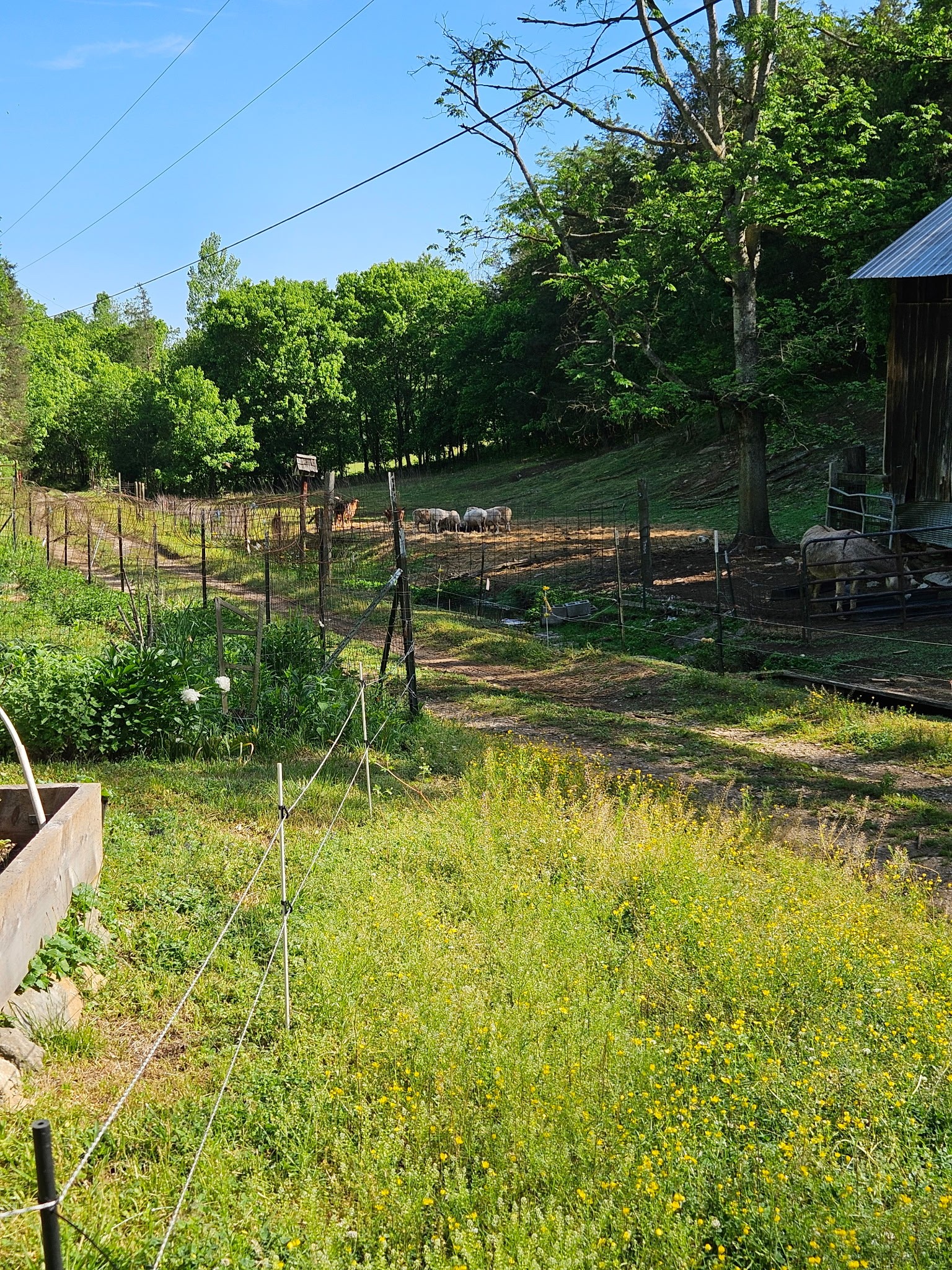 34 Friendship Hollow Road, N Pleasant Shade TN 37145