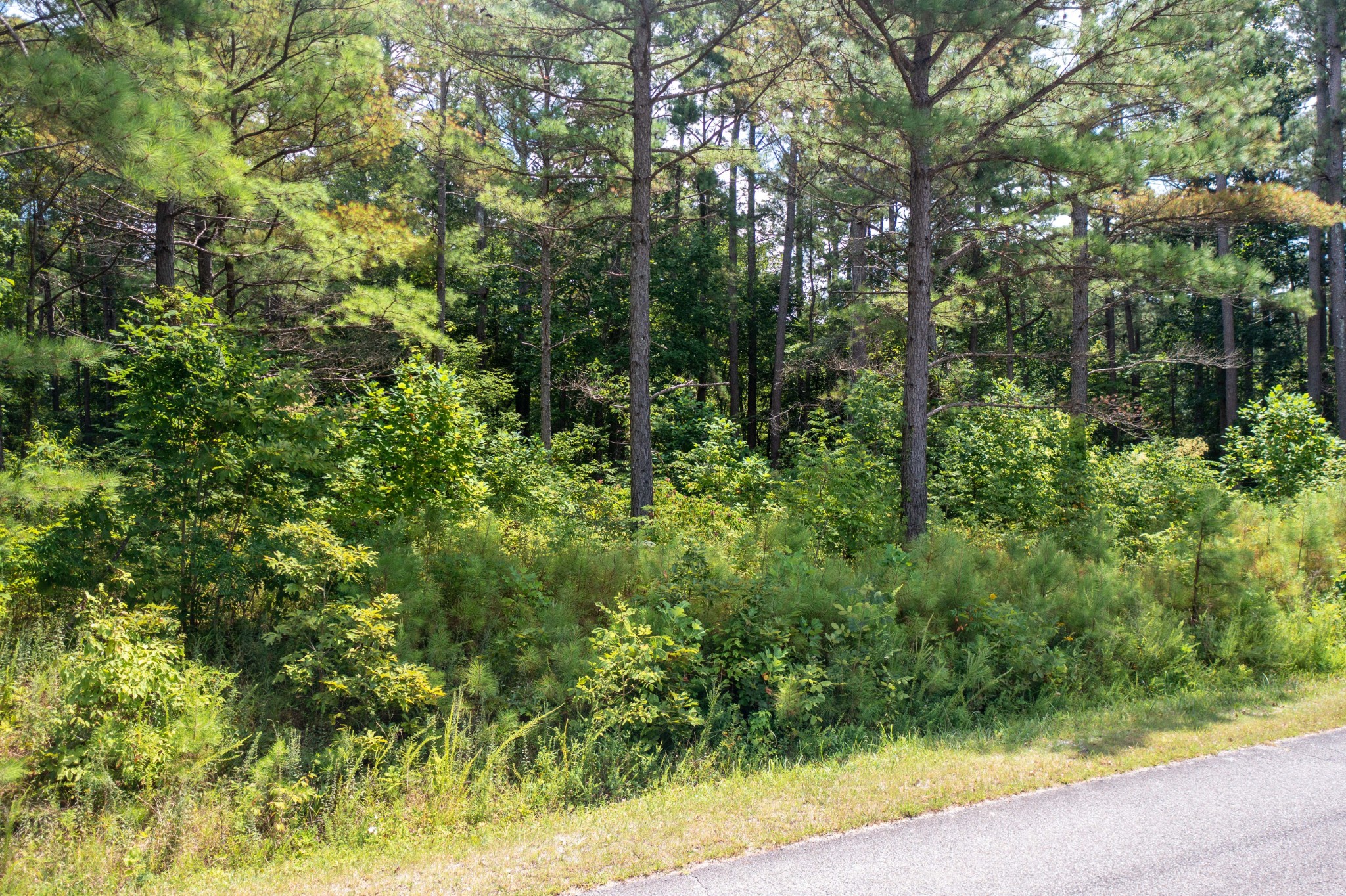 0 Bear Creek Road S Dickson TN 37055