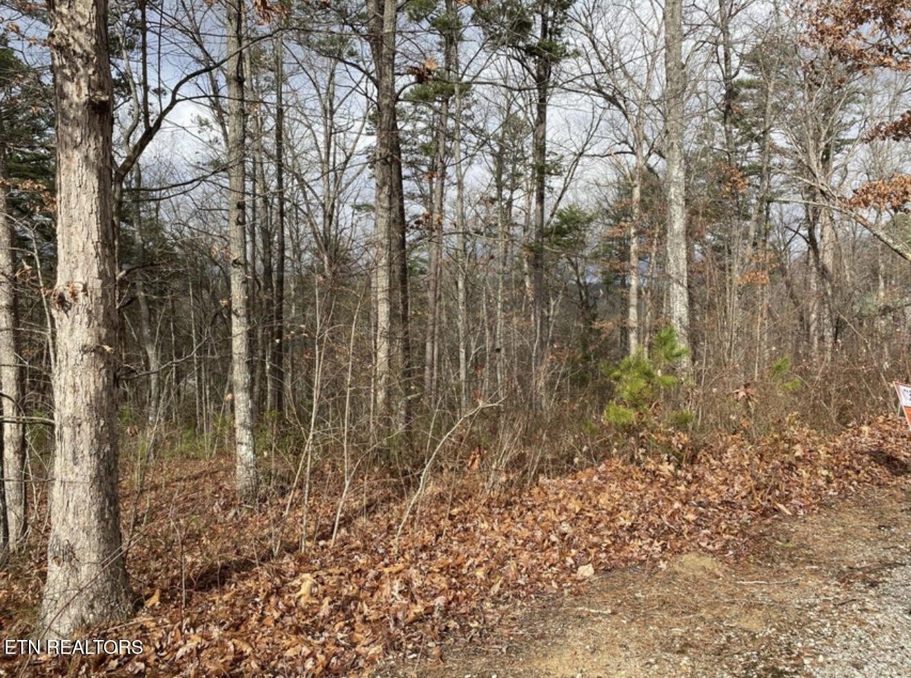 0 Eagle Bluff Jamestown TN 38556