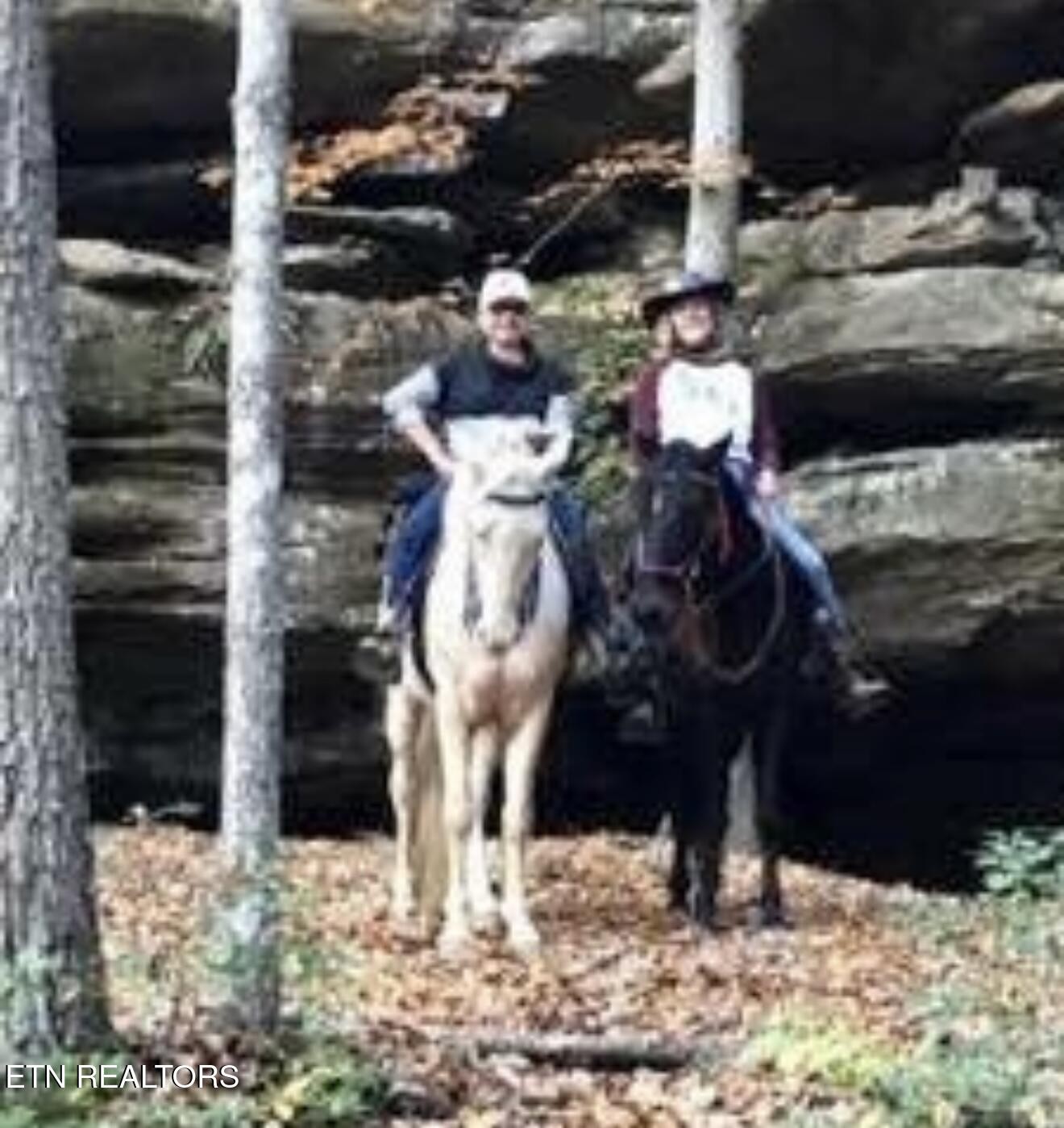 0 Eagle Bluff Jamestown TN 38556