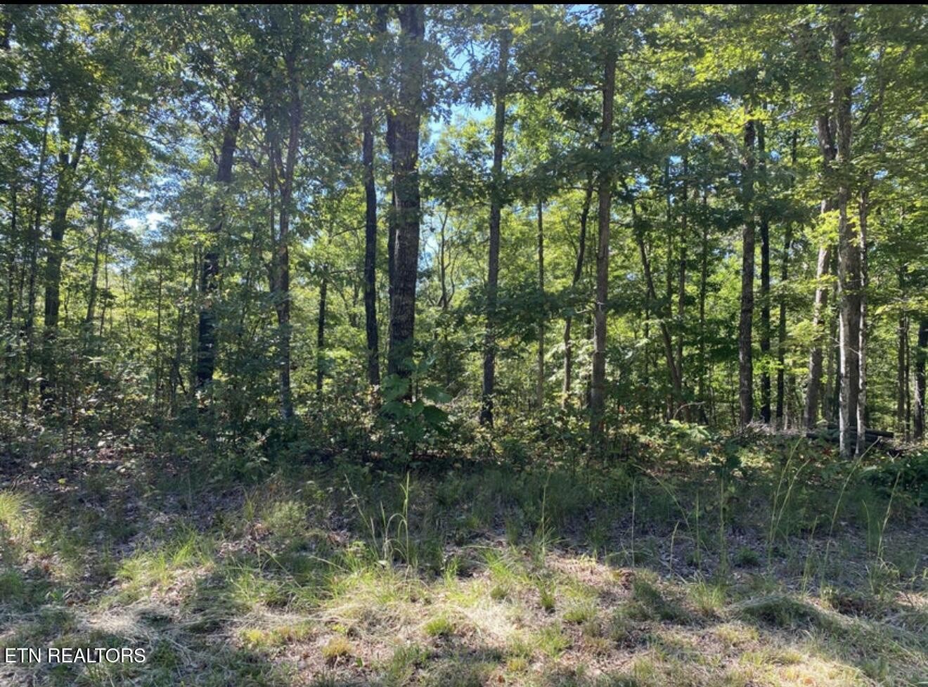 0 Eagle Bluff Jamestown TN 38556