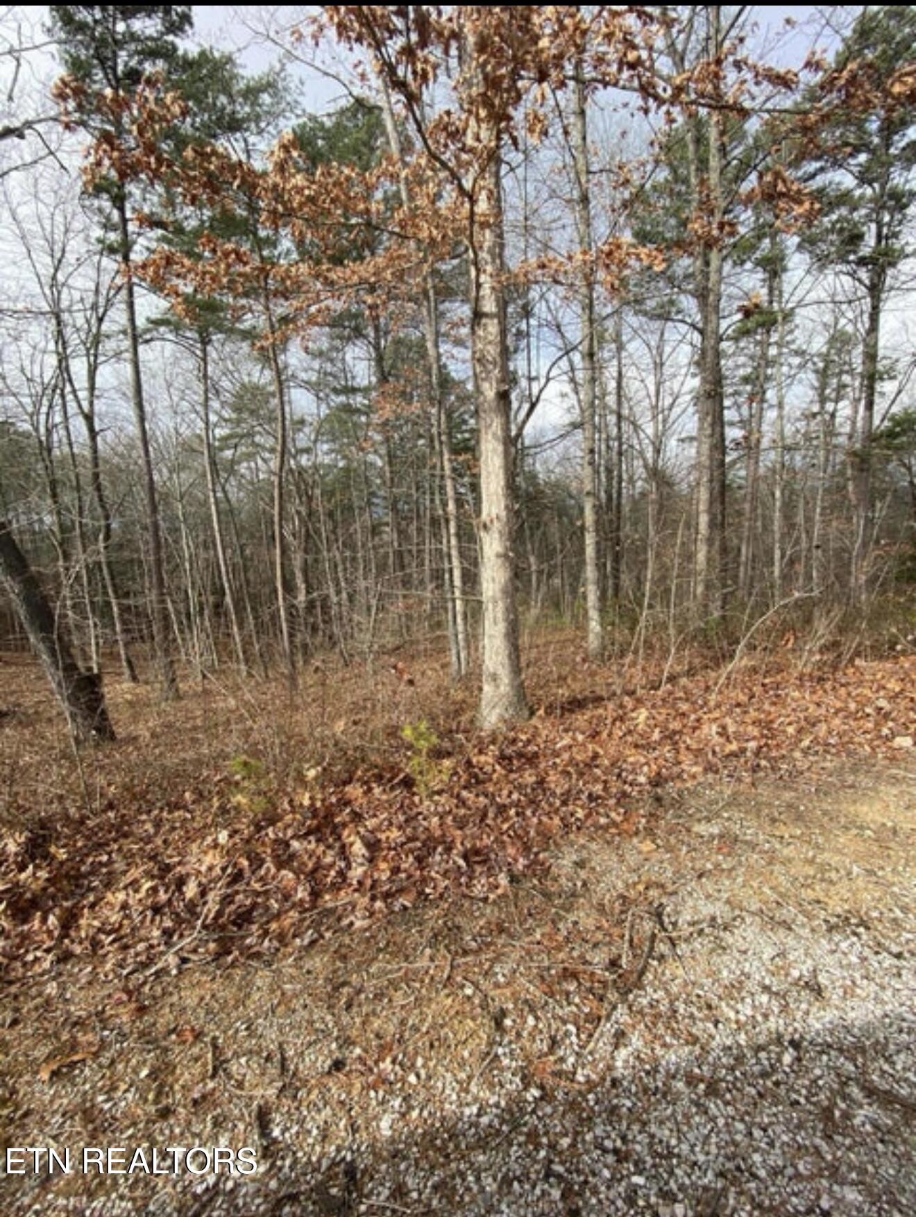 0 Eagle Bluff Jamestown TN 38556