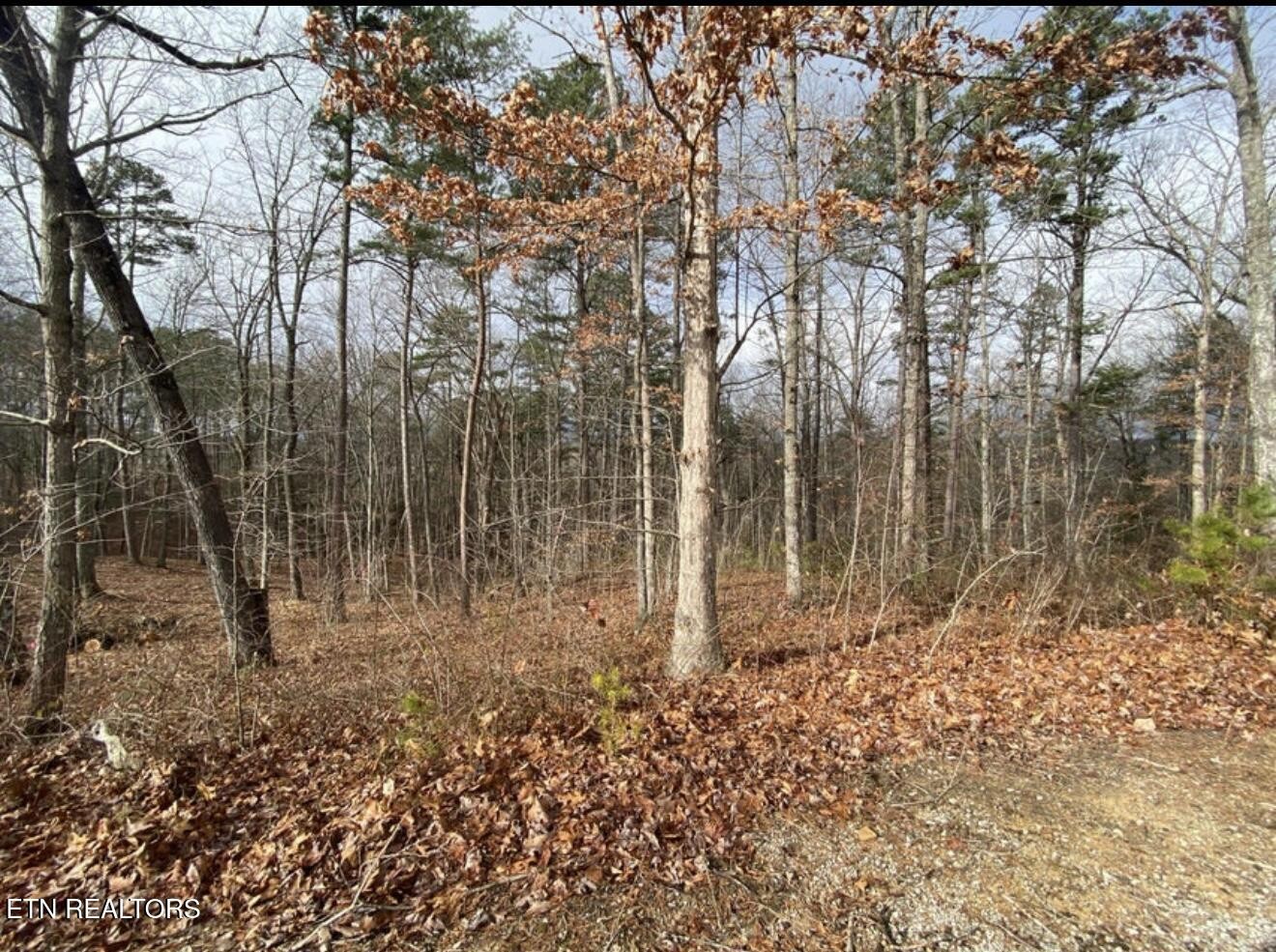 0 Eagle Bluff Jamestown TN 38556