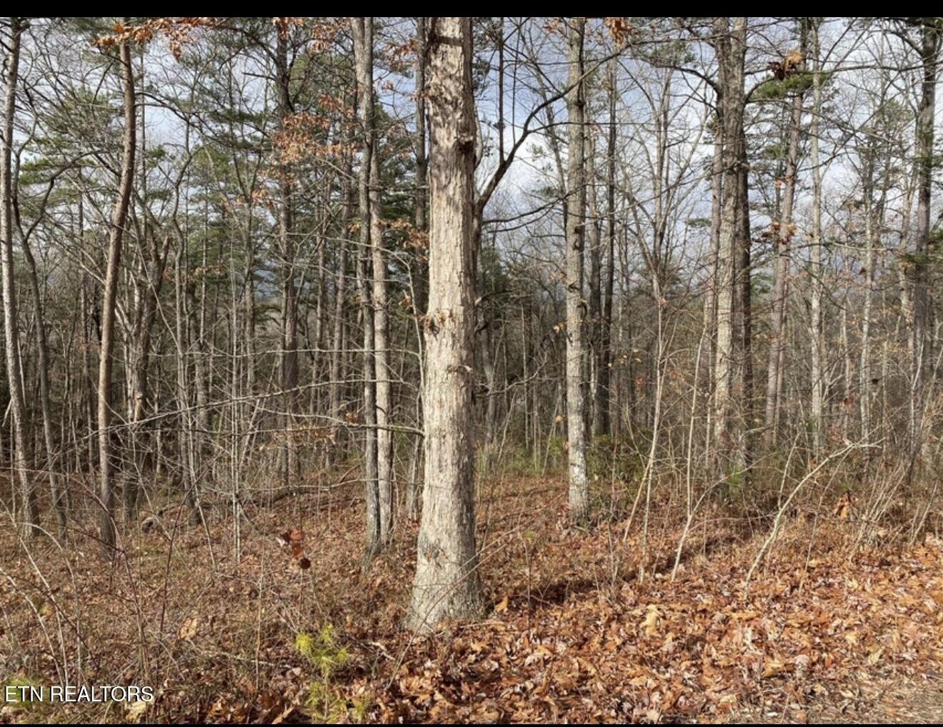 0 Eagle Bluff Jamestown TN 38556