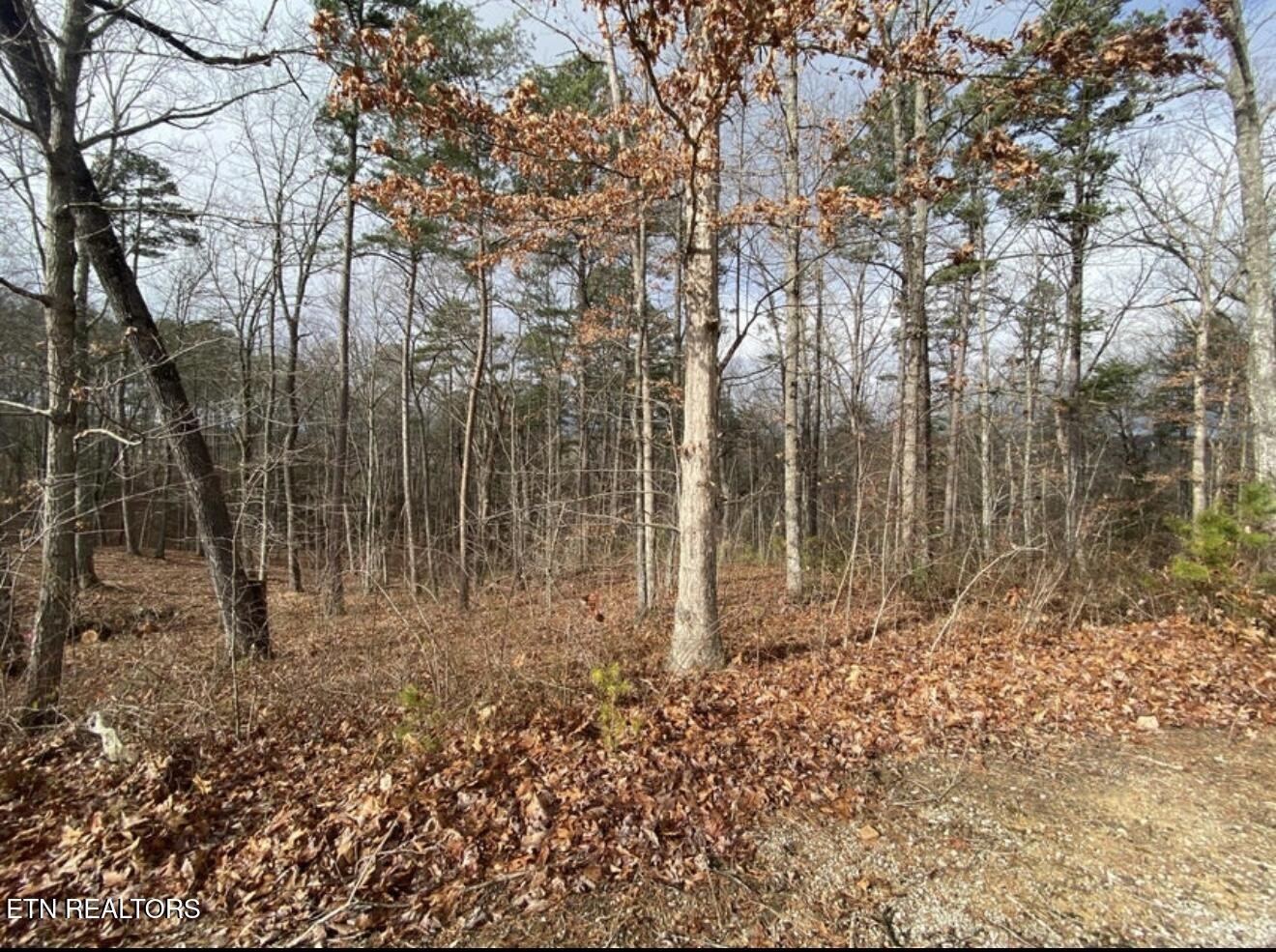 0 Eagle Bluff Jamestown TN 38556