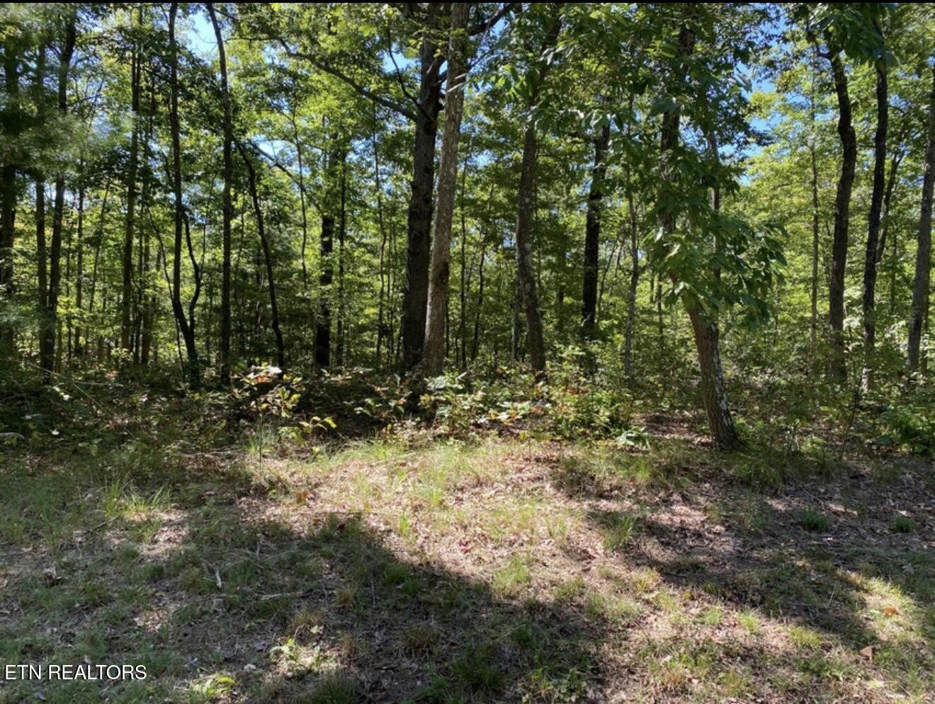 0 Eagle Bluff Jamestown TN 38556