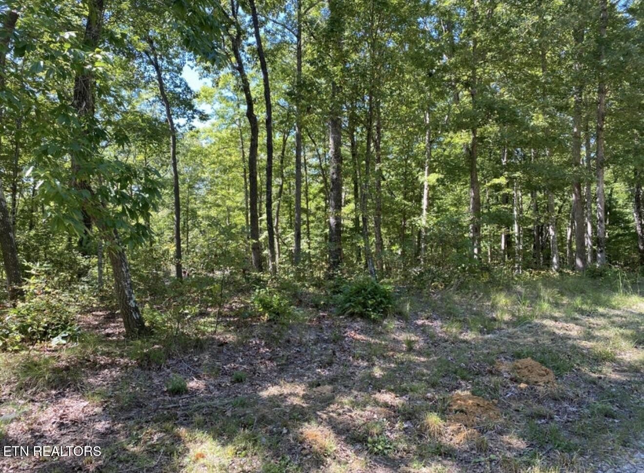 0 Eagle Bluff Jamestown TN 38556