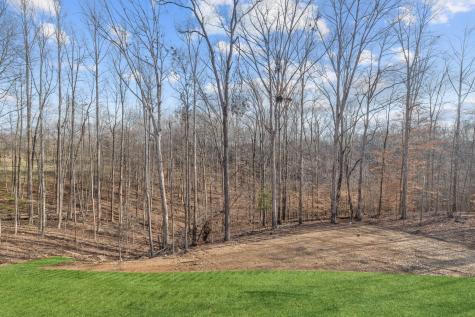 53 Jordan Drive Estill Springs TN 37330