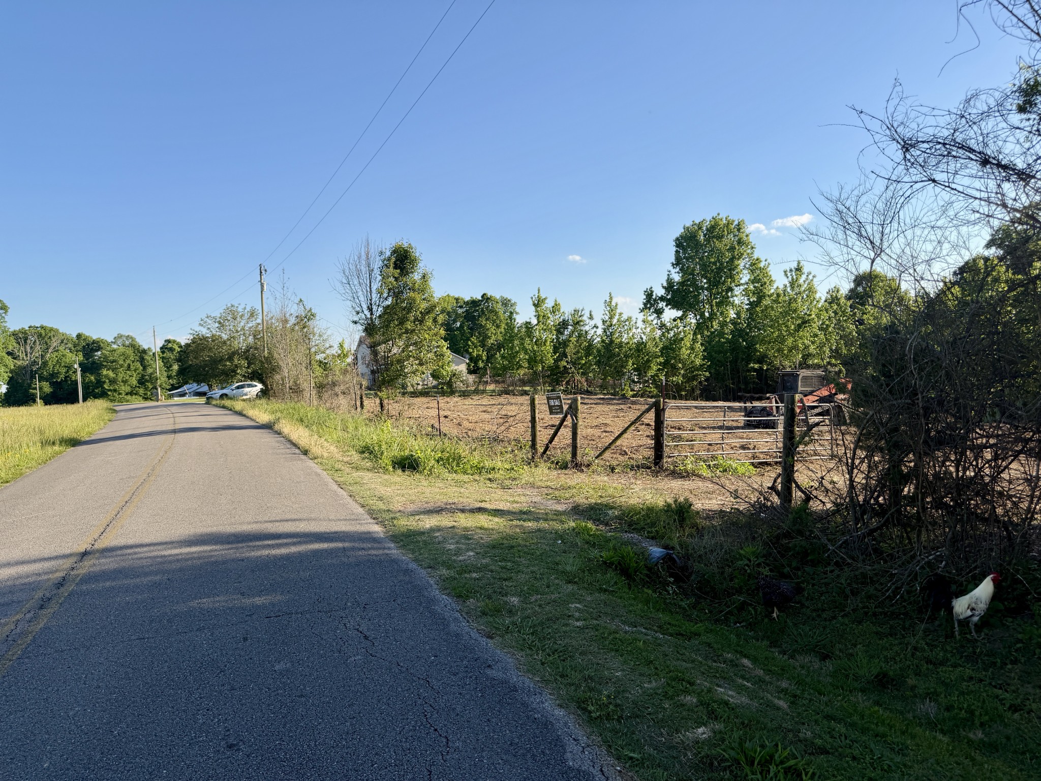 497 Rascaltown Road Loretto TN 38469