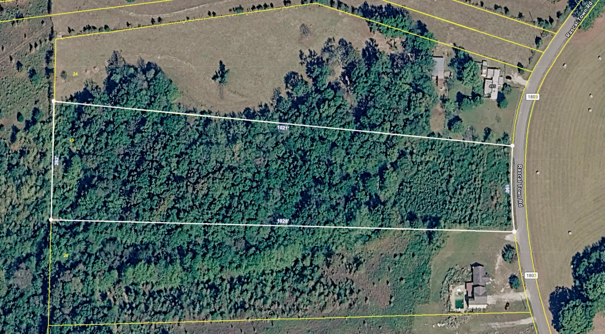 497 Rascaltown Road Loretto TN 38469
