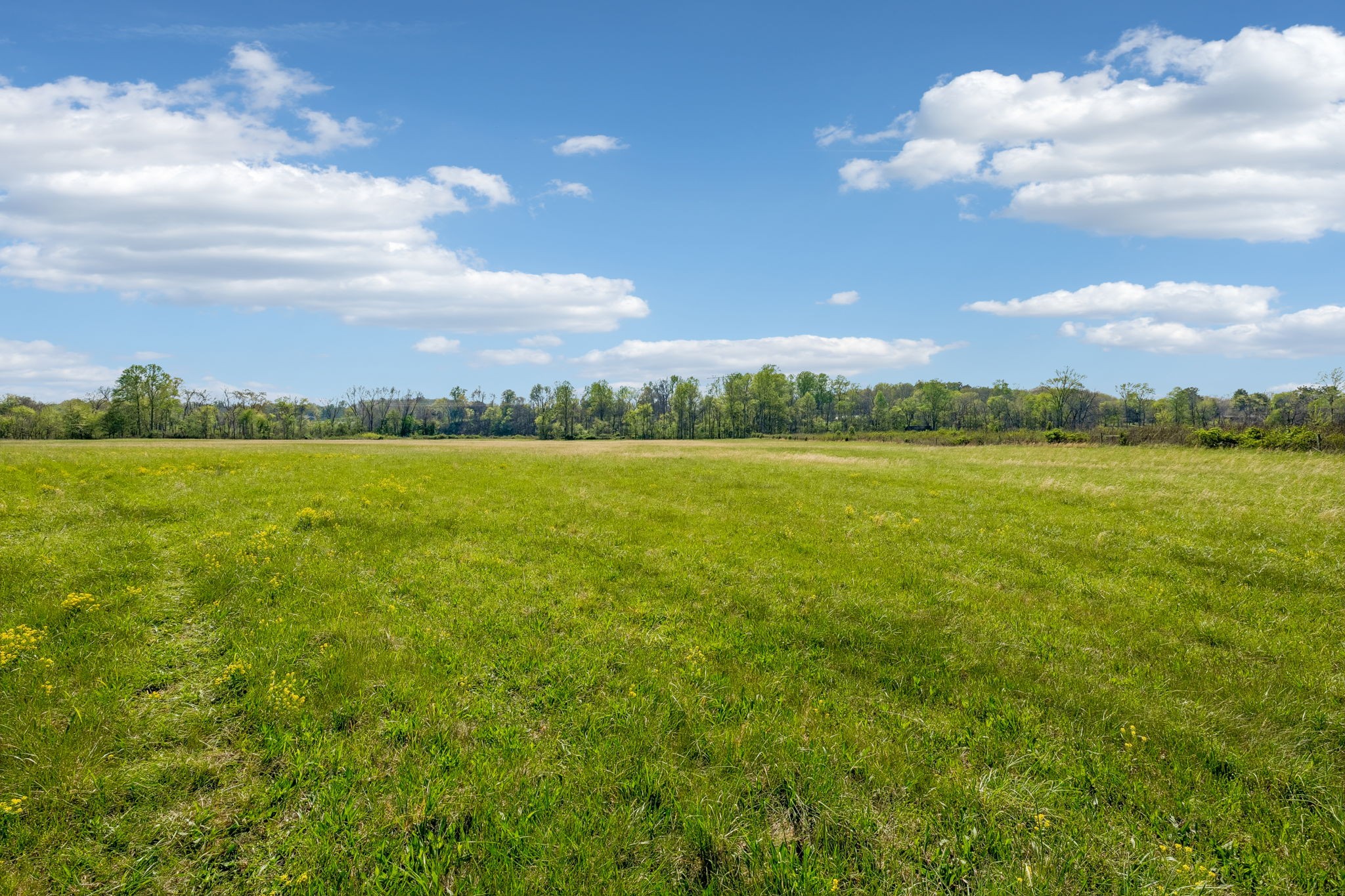 570 Piney Road, W Dickson TN 37055