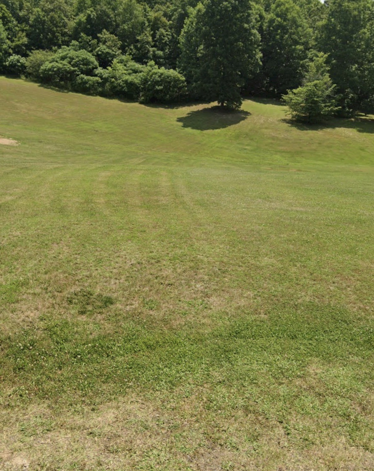 4307 Surji Circle Centerville TN 37033