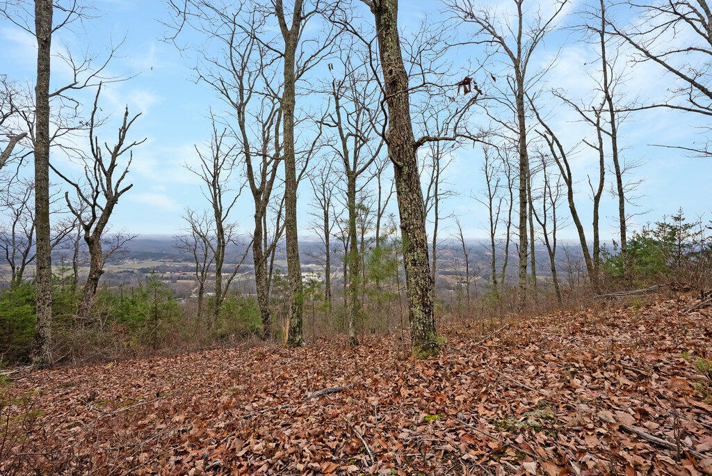9 Escape Drive Evensville TN 37332