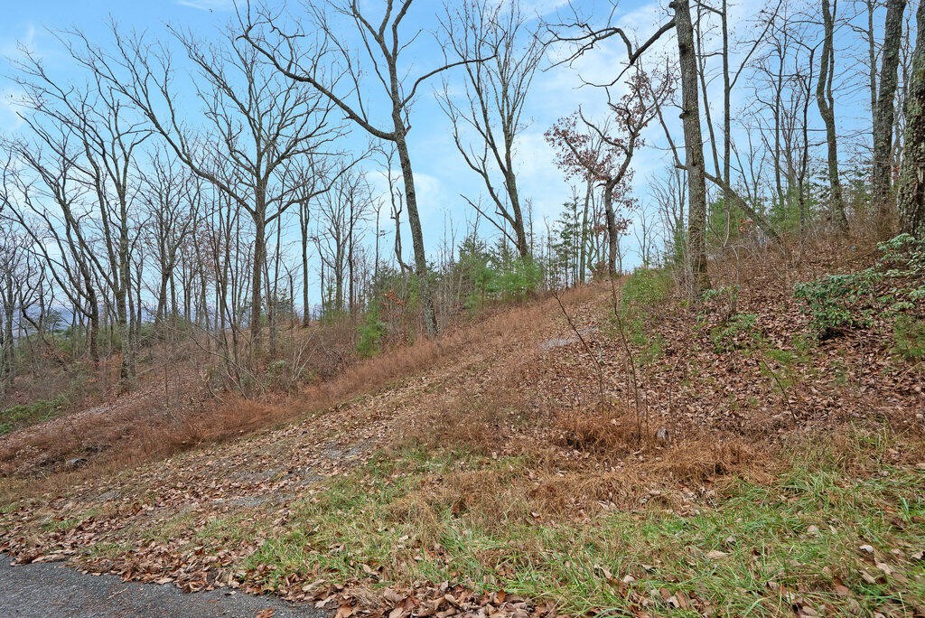 9 Escape Drive Evensville TN 37332