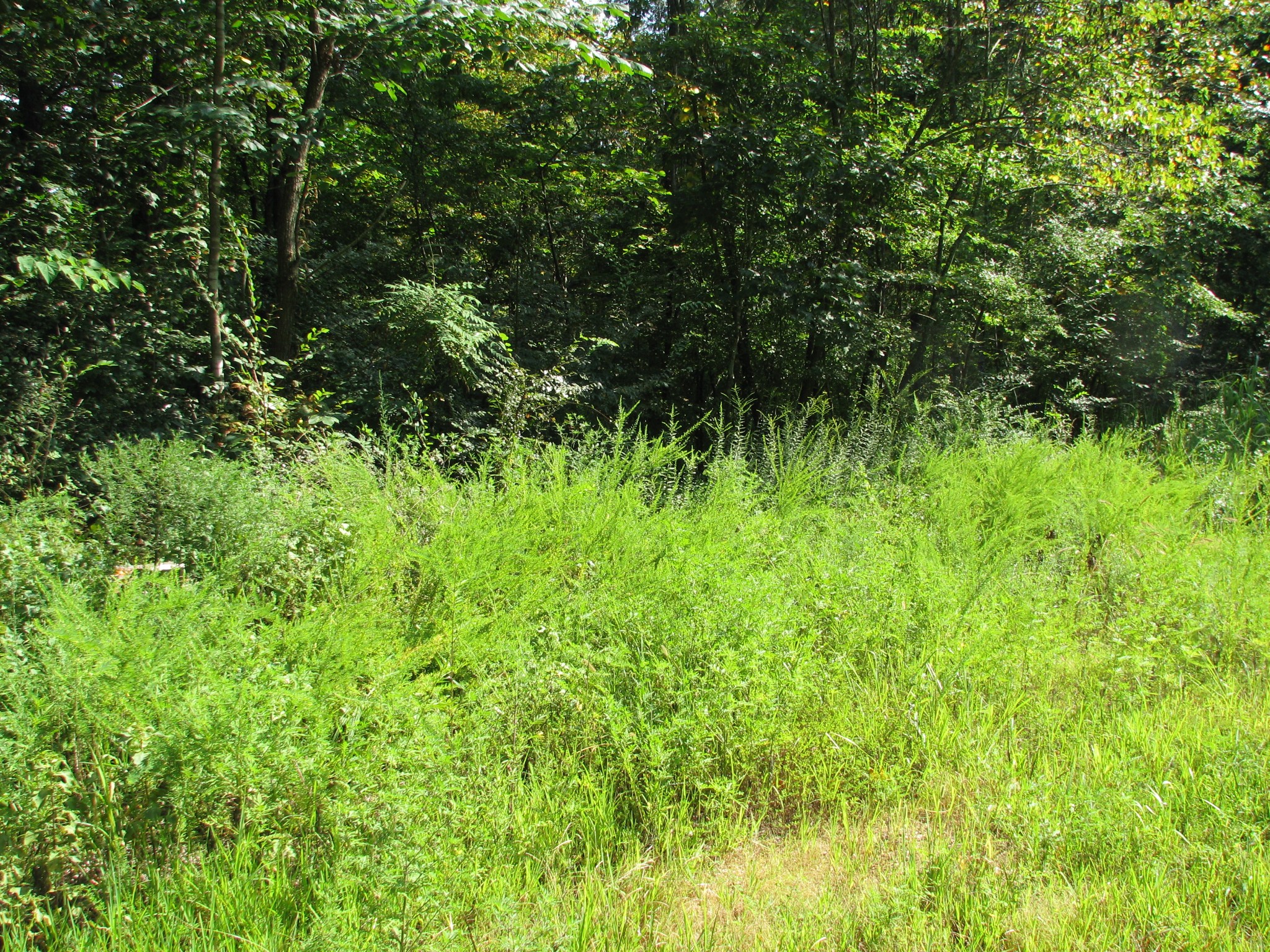 0 Sycamore Landing Road Waverly TN 37185