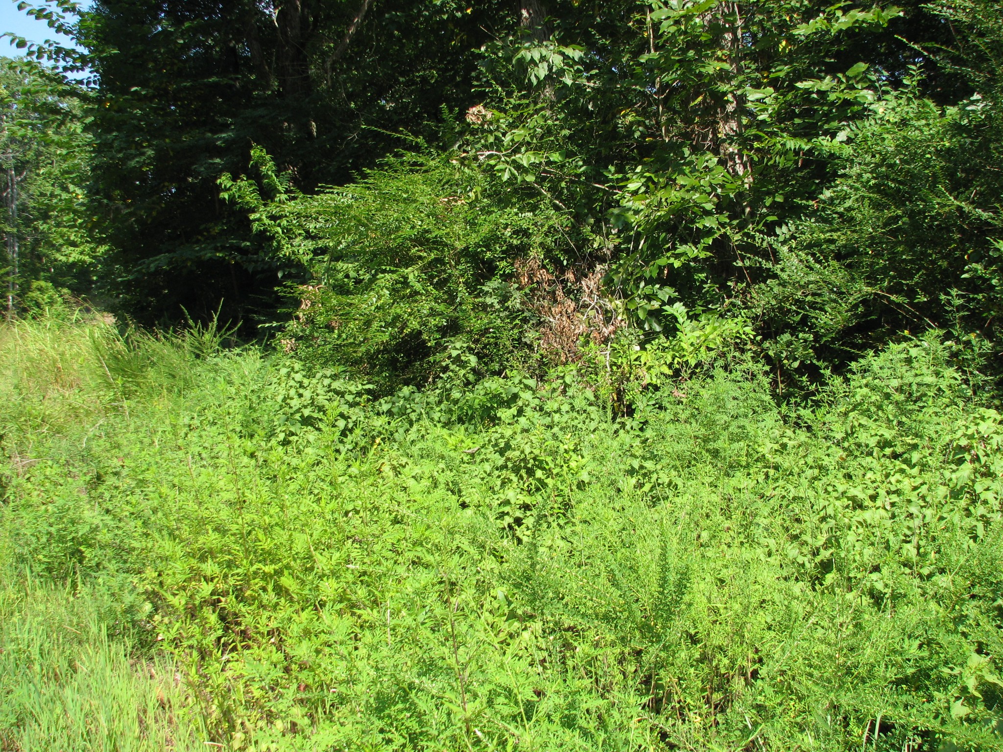 0 Sycamore Landing Road Waverly TN 37185