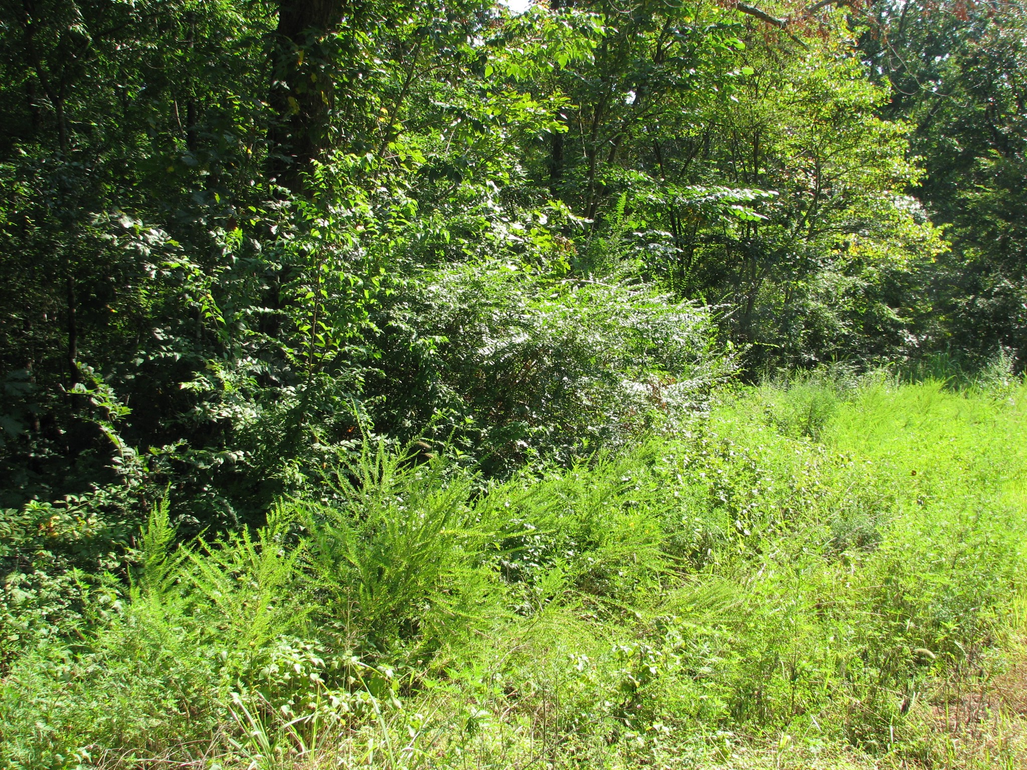 0 Sycamore Landing Road Waverly TN 37185