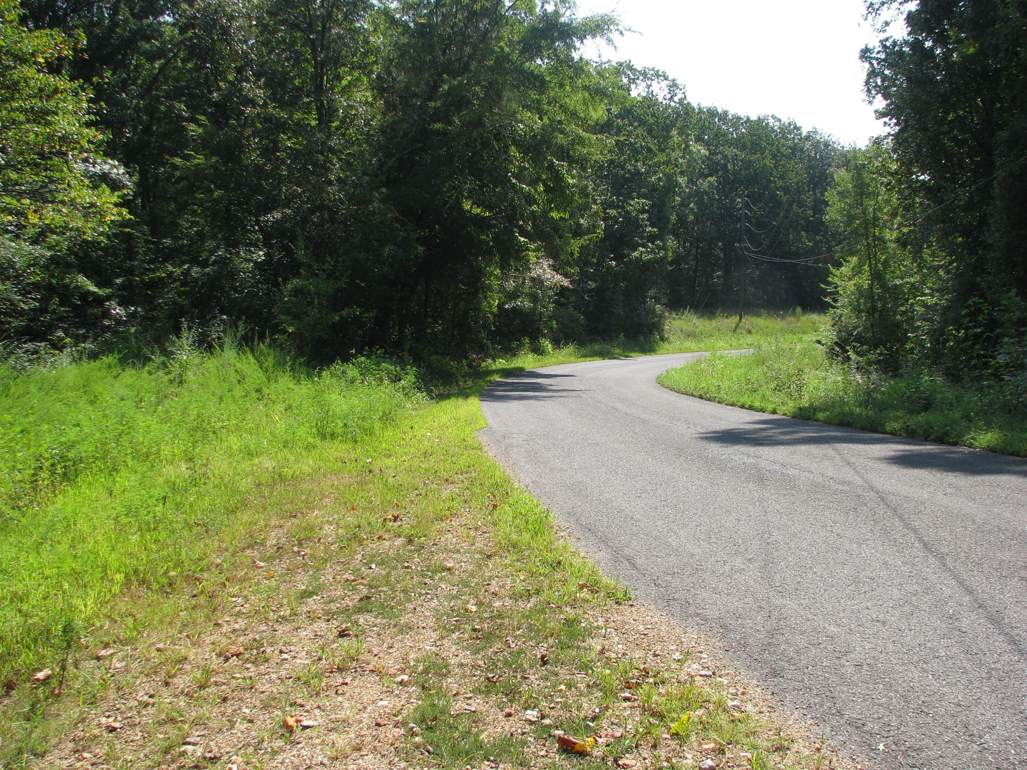 0 Sycamore Landing Road Waverly TN 37185