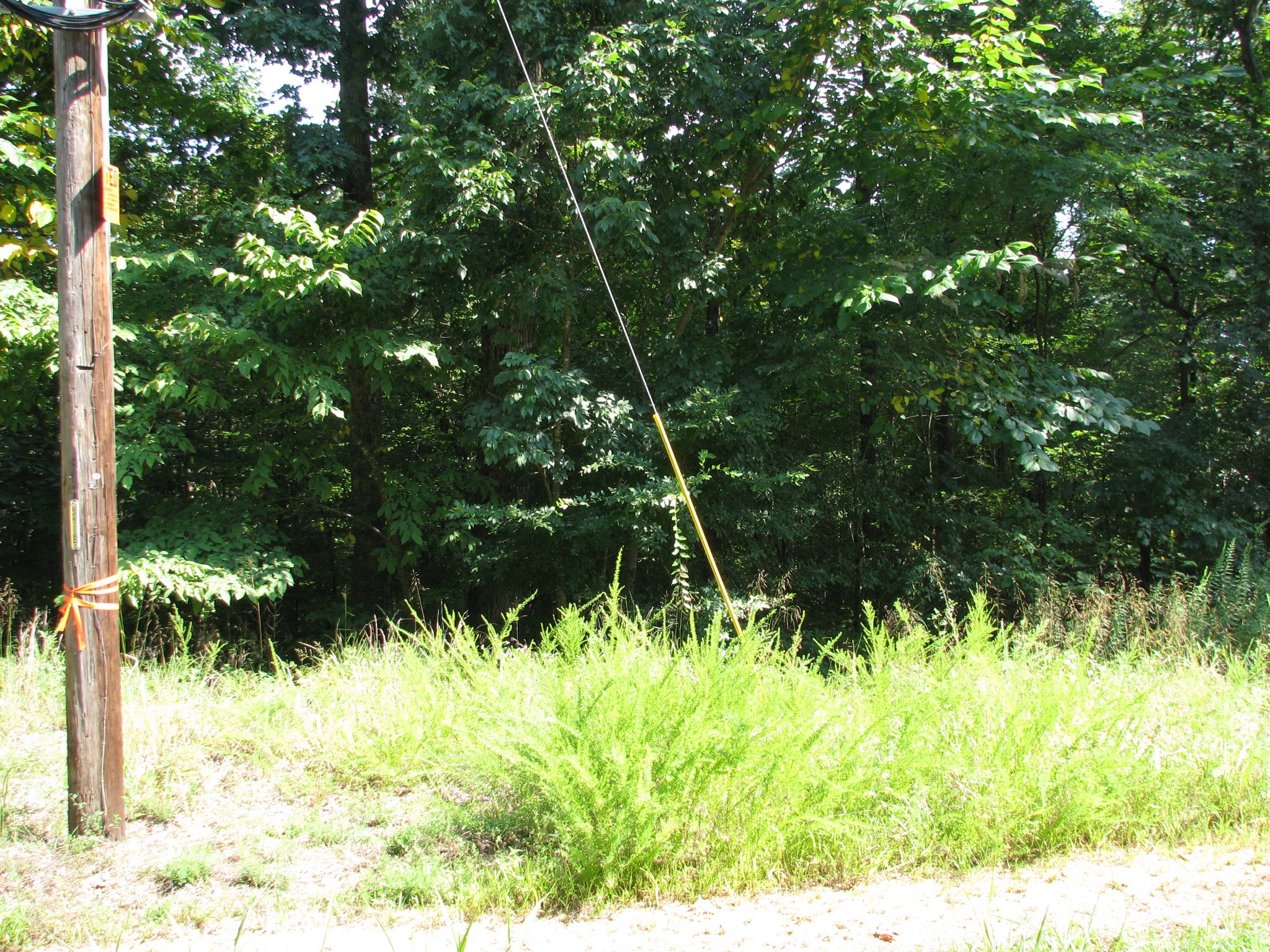 0 Sycamore Landing Road Waverly TN 37185