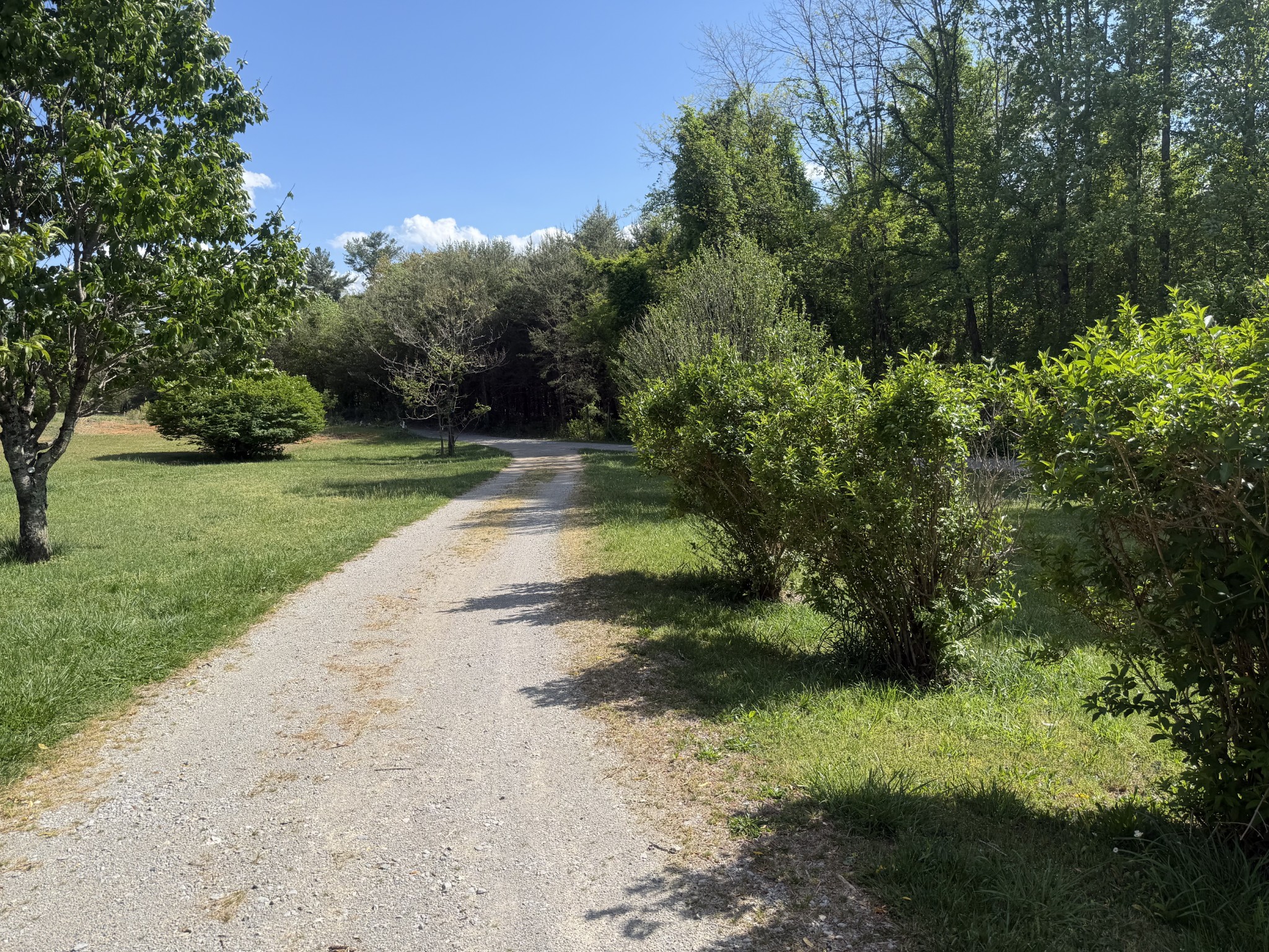 200 Rattlesnake Road Mcminnville TN 37110