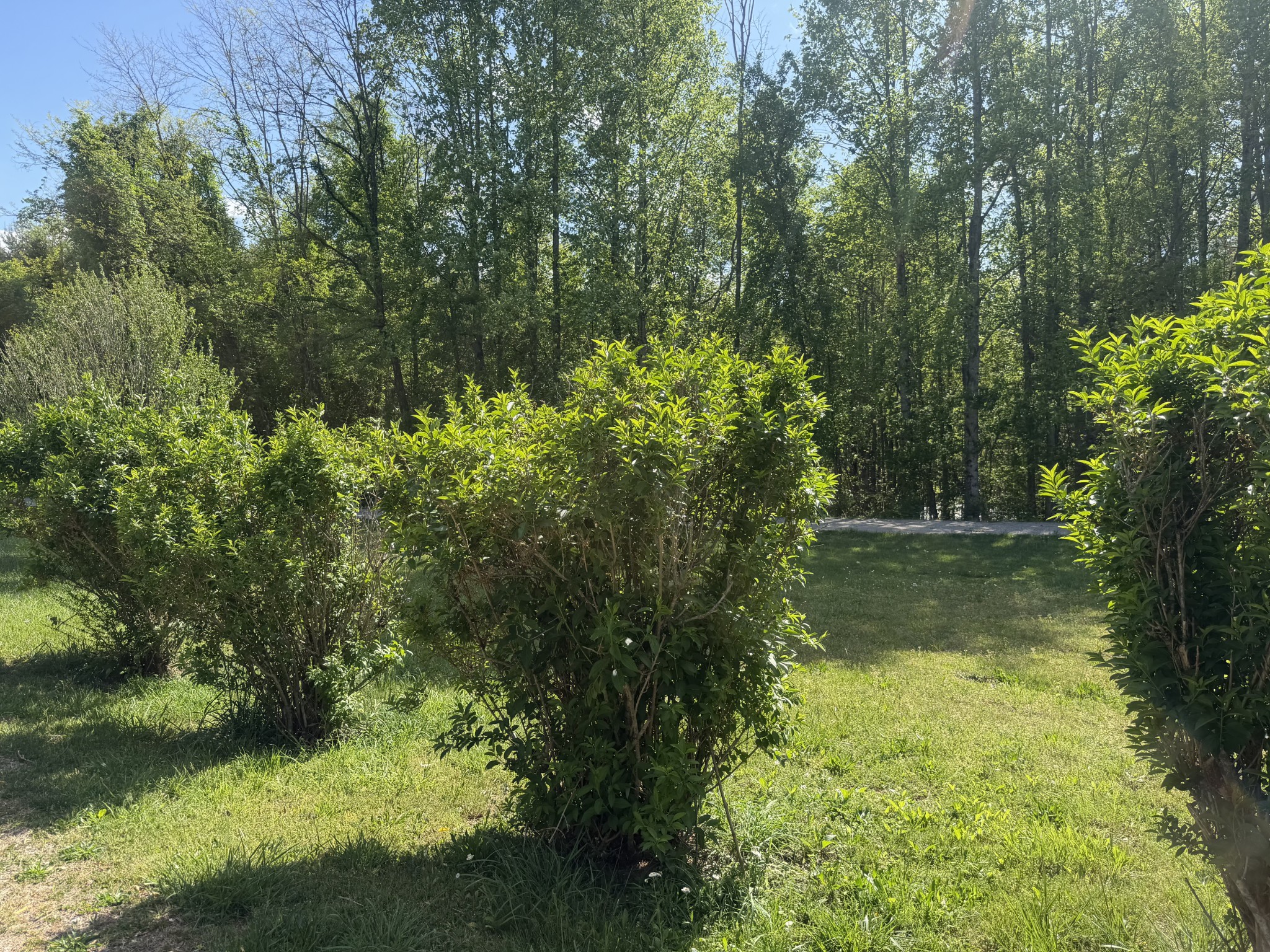 200 Rattlesnake Road Mcminnville TN 37110