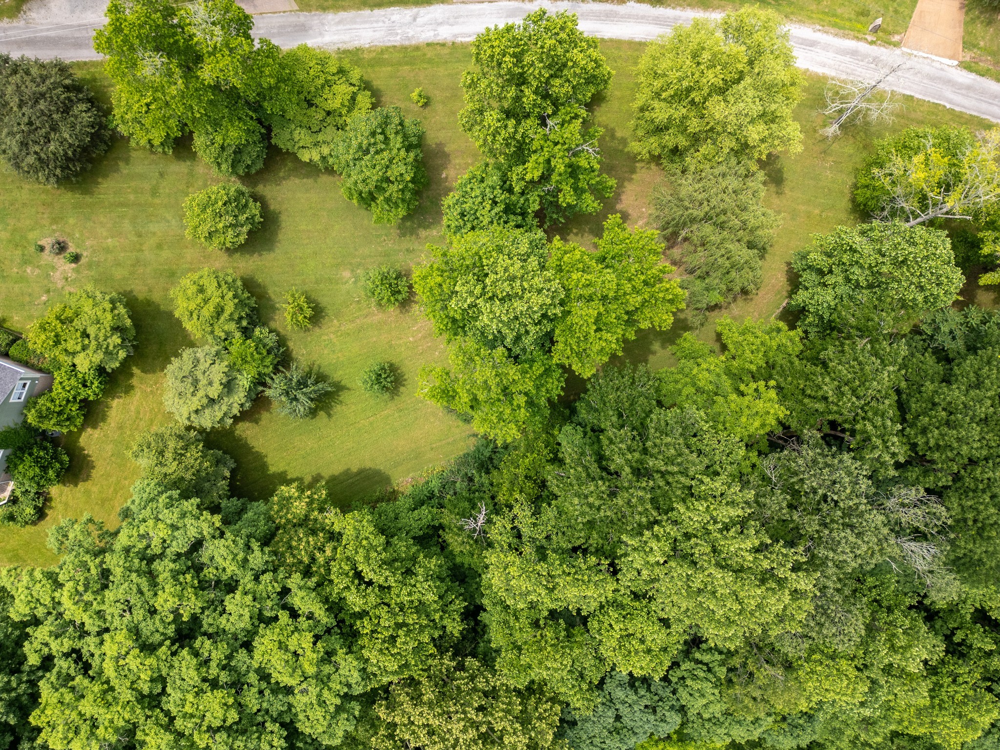0 Lafever Ridge Road Silver Point TN 38582