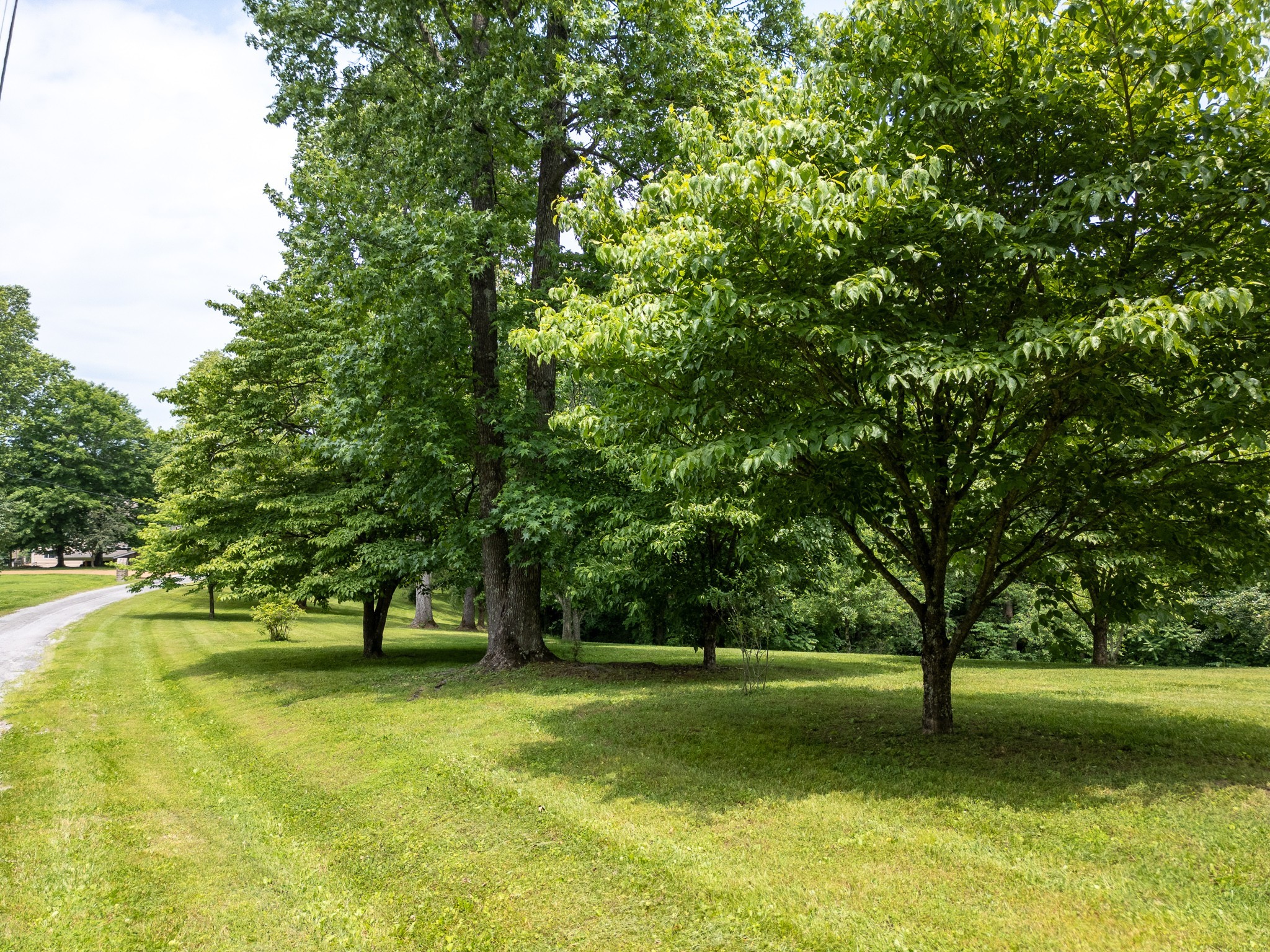 0 Lafever Ridge Road Silver Point TN 38582