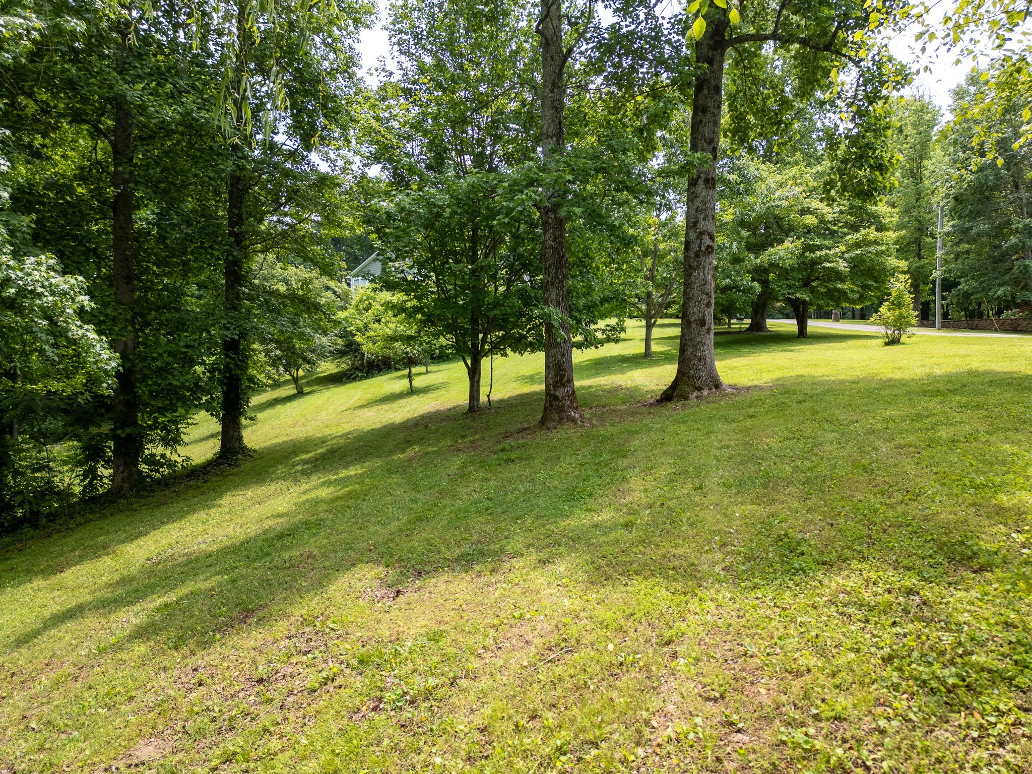 0 Lafever Ridge Road Silver Point TN 38582