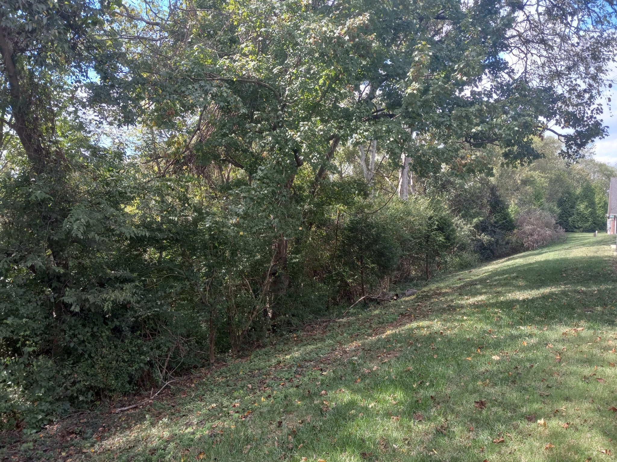 395 Devon Chase Hill Gallatin TN 37066