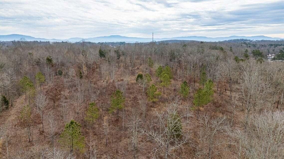 0 Waterlevel Highway Cleveland TN 37323