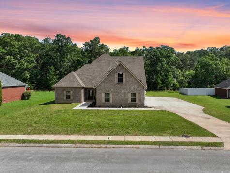 195 Hamilton Court Manchester TN 37355