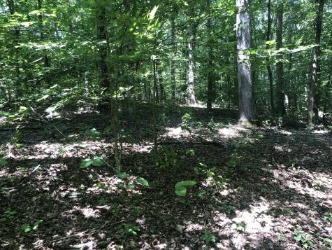 0 Jackson Cabin Road Kingston Springs TN 37082