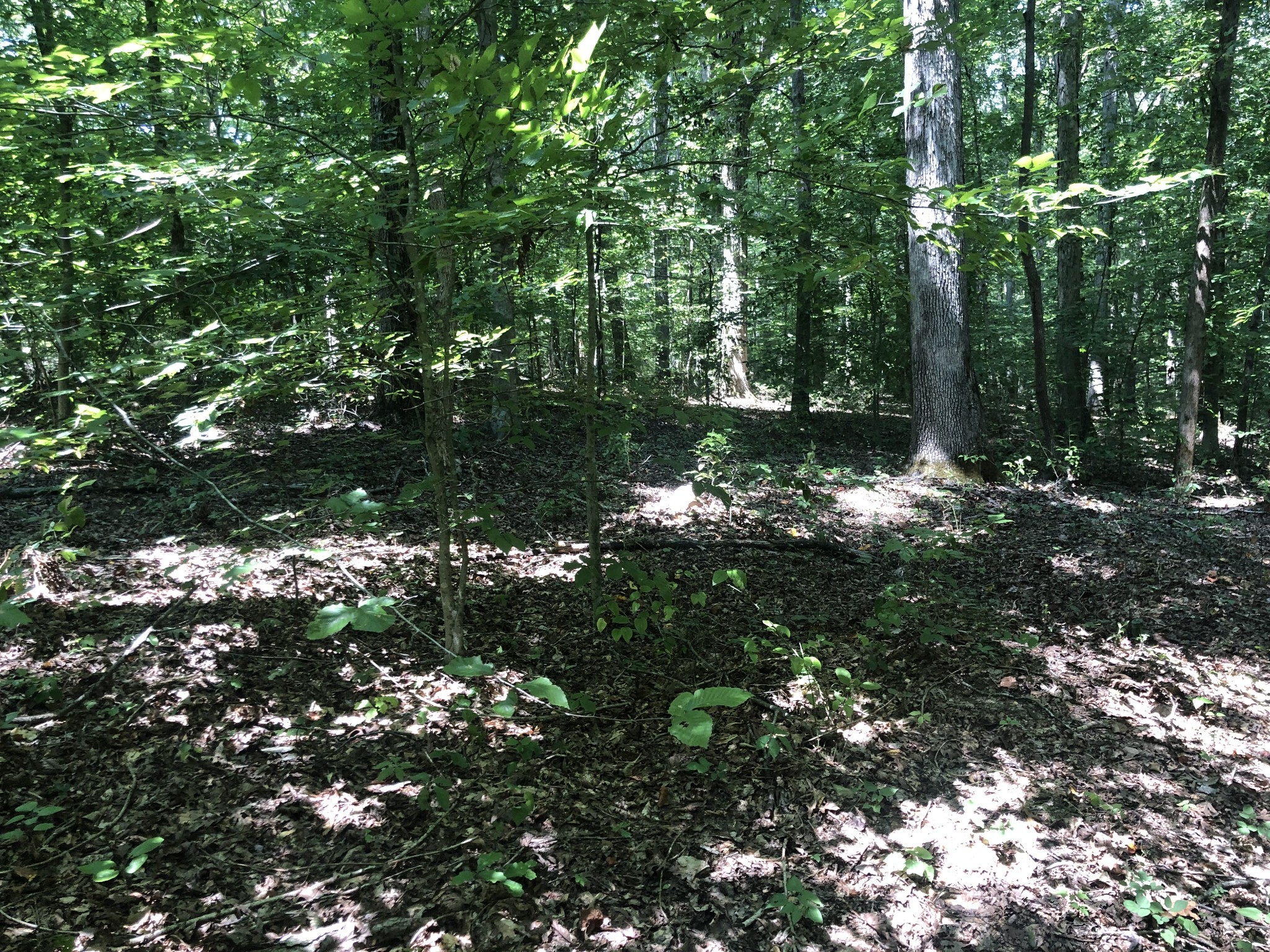 0 Jackson Cabin Road Kingston Springs TN 37082