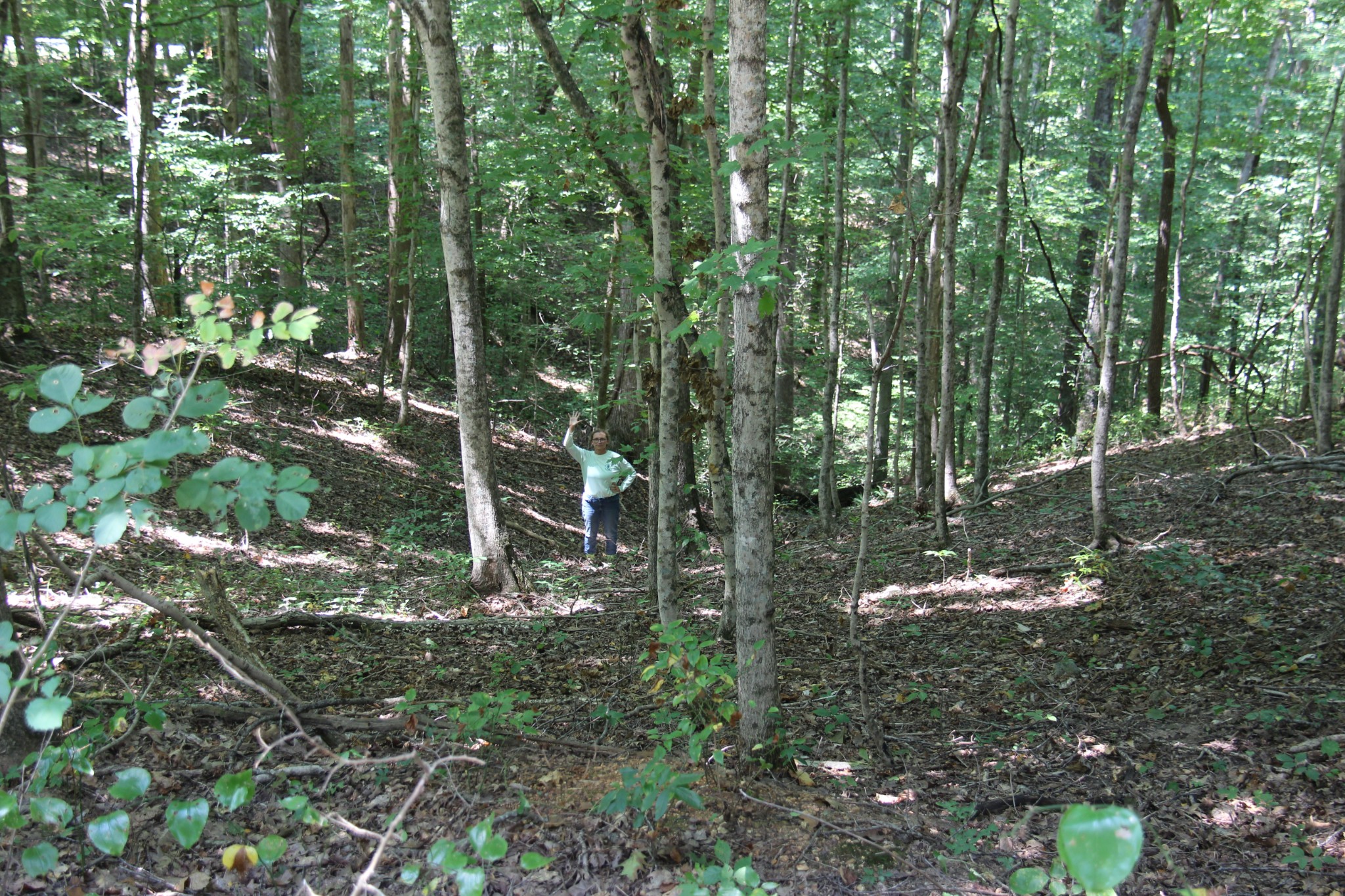 0 Jackson Cabin Road Kingston Springs TN 37082