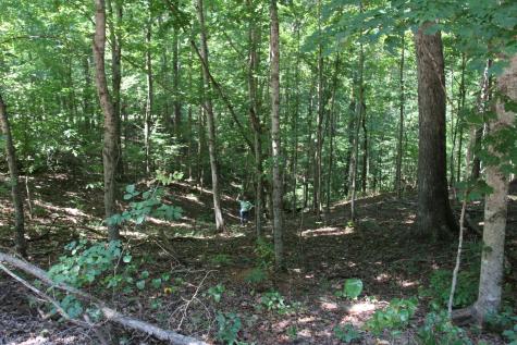 0 Jackson Cabin Road Kingston Springs TN 37082