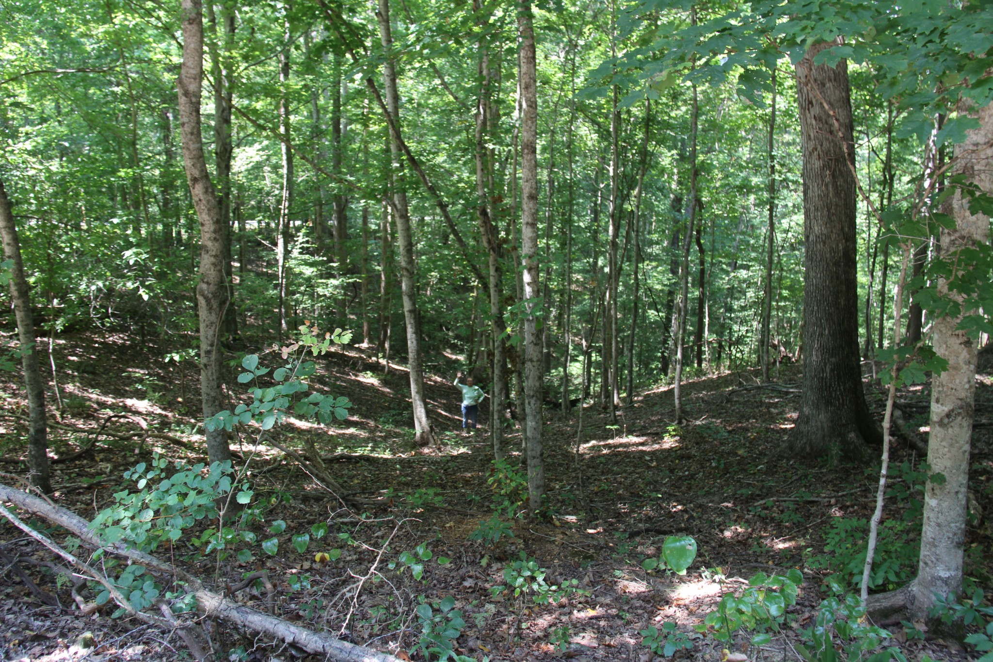 0 Jackson Cabin Road Kingston Springs TN 37082