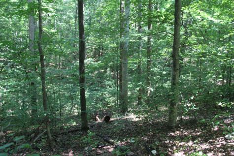 0 Jackson Cabin Road Kingston Springs TN 37082