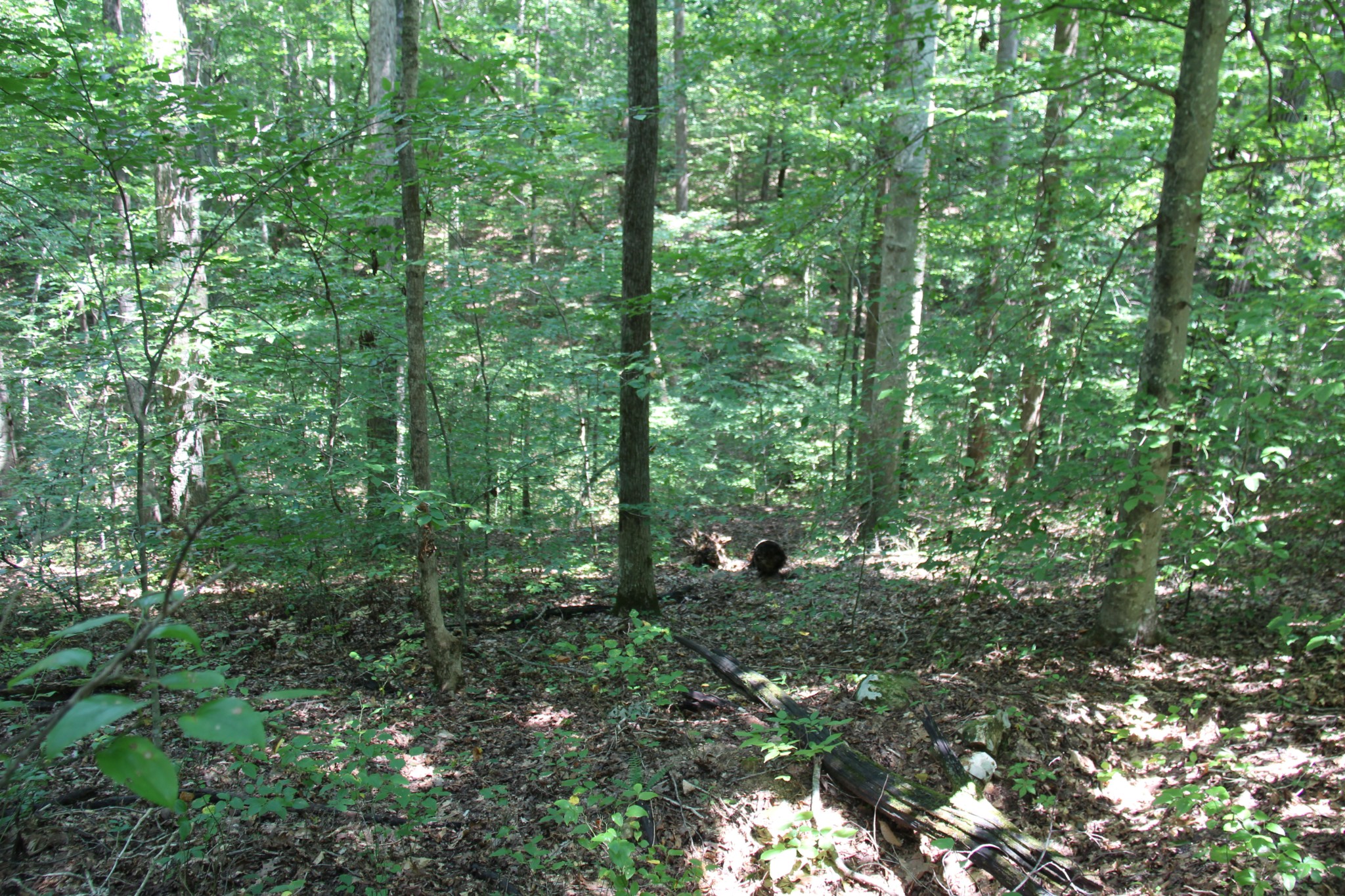 0 Jackson Cabin Road Kingston Springs TN 37082